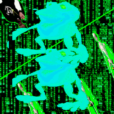 NOISY PEPE #913