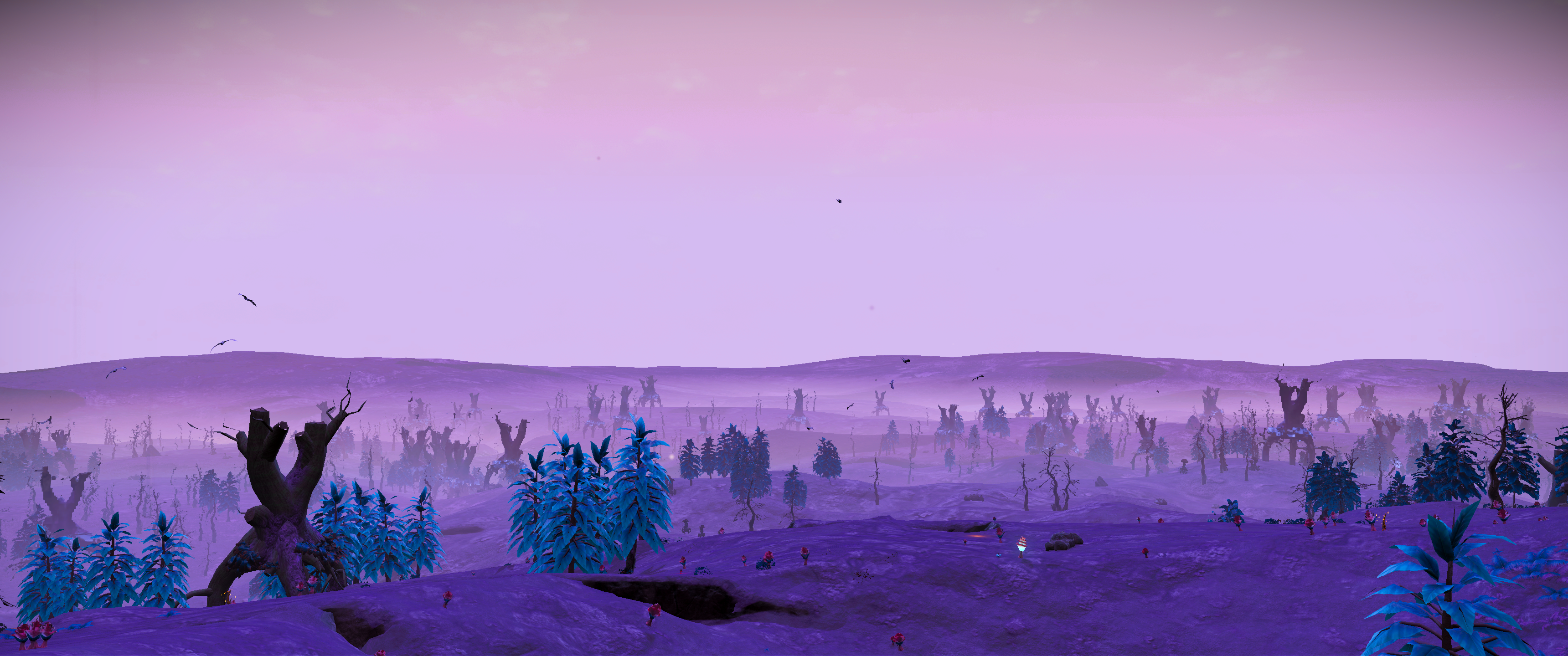 Toxic Wasteland