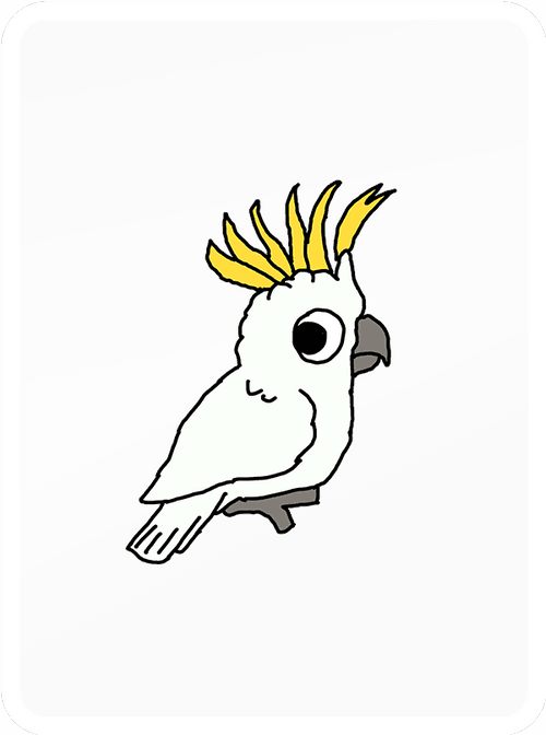 Cursed Cockatoo