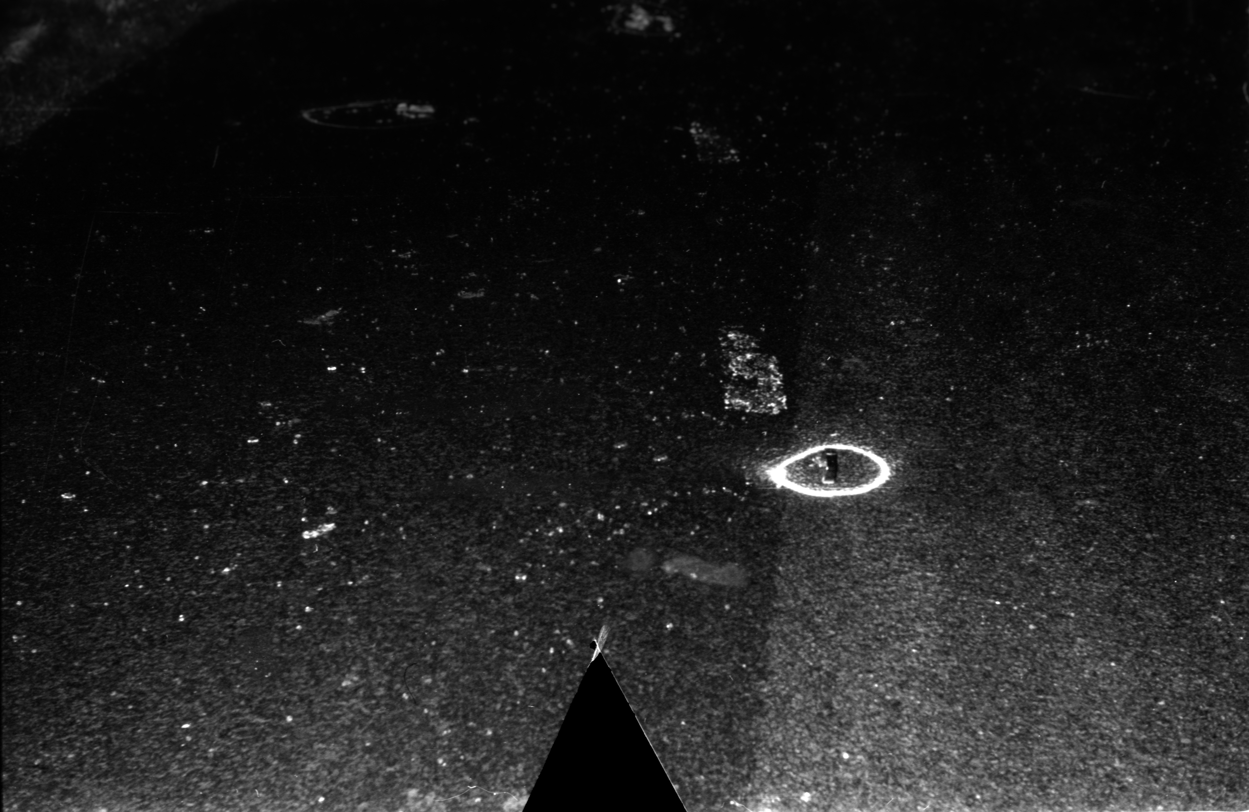 By Accident - The Negatives #337
