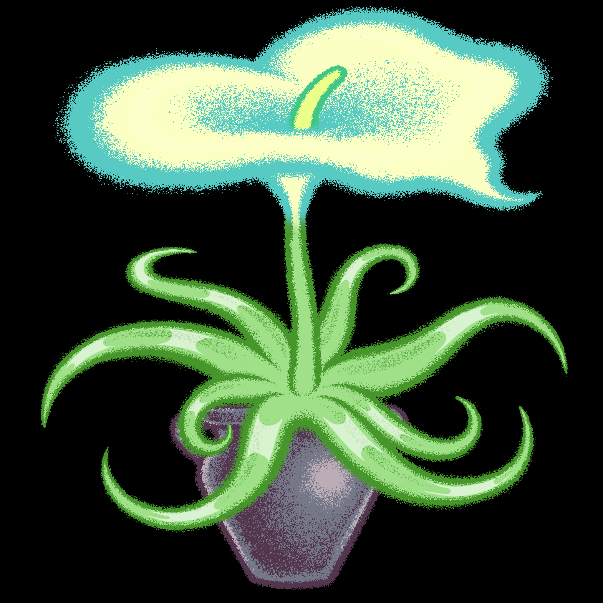 Bloomer #58