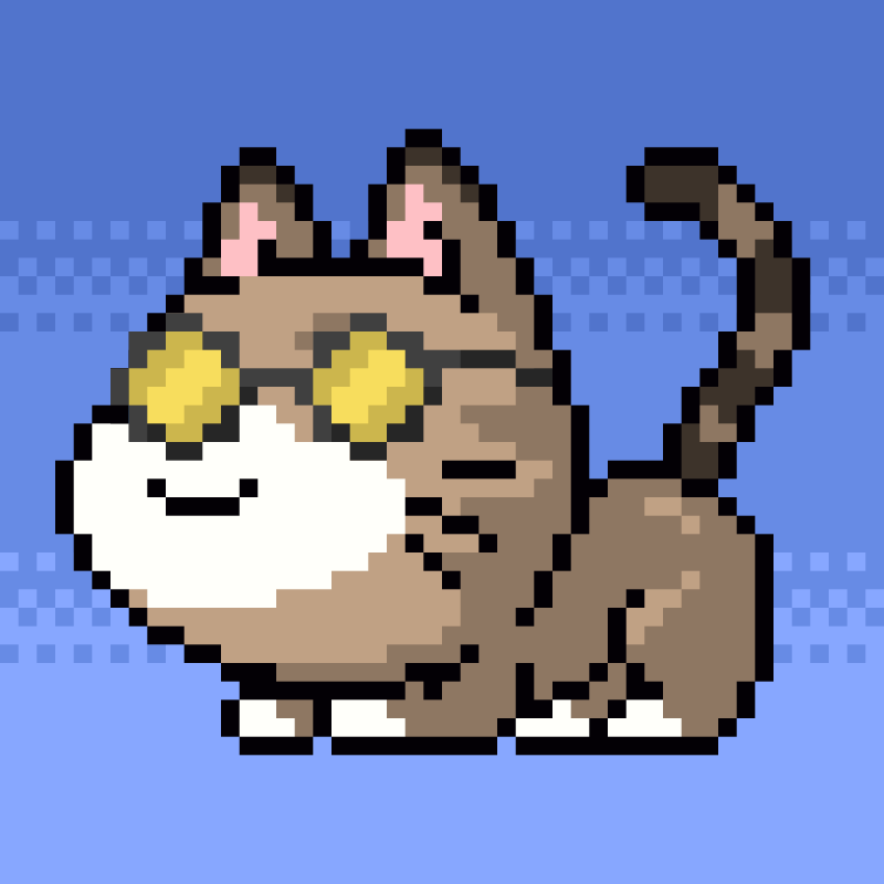 Catxoxo #2205