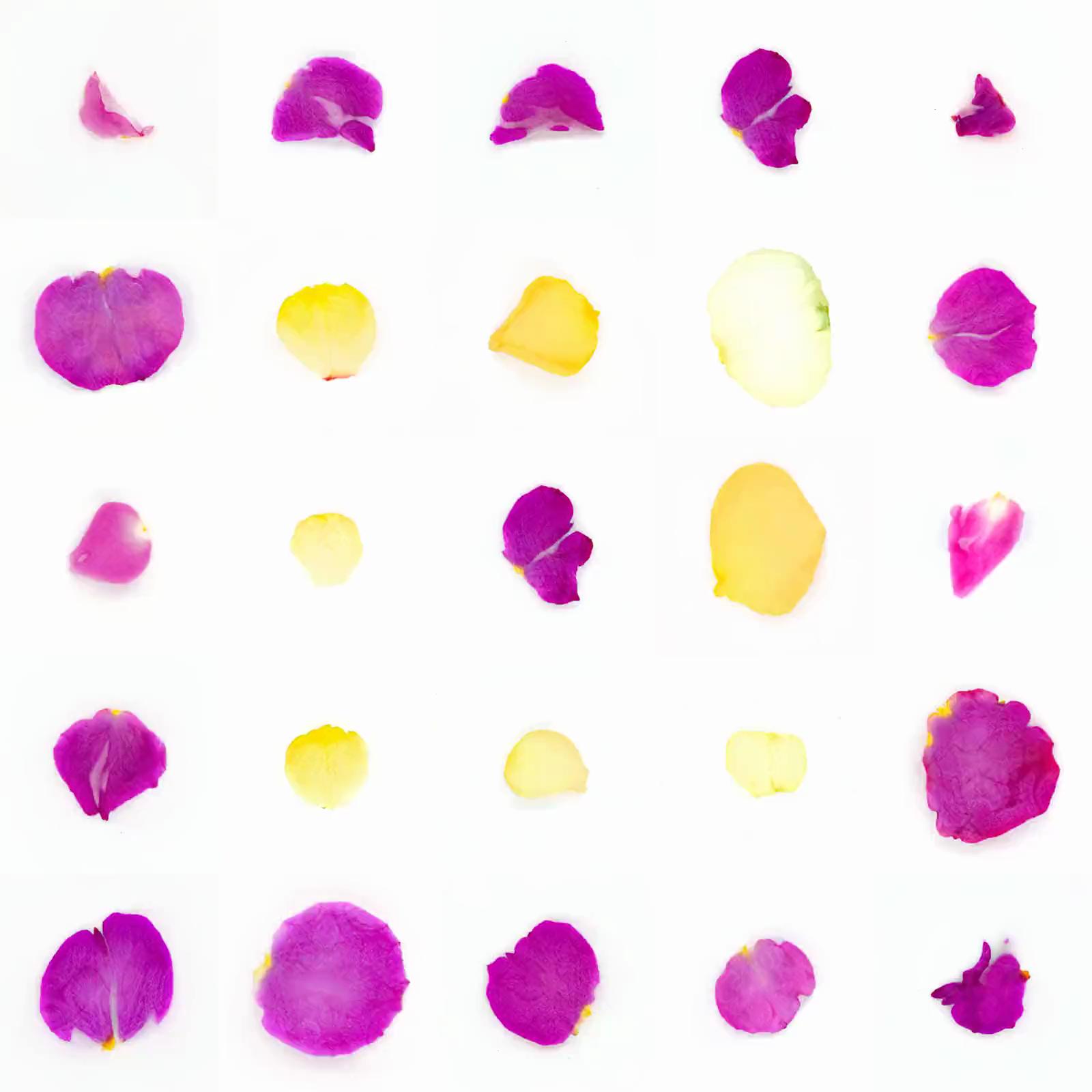 Infinite Petals 5x5#20998