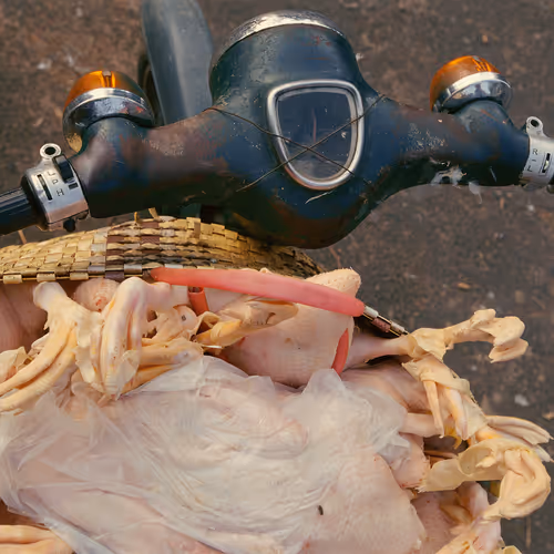 Super Cub Chicken Feet