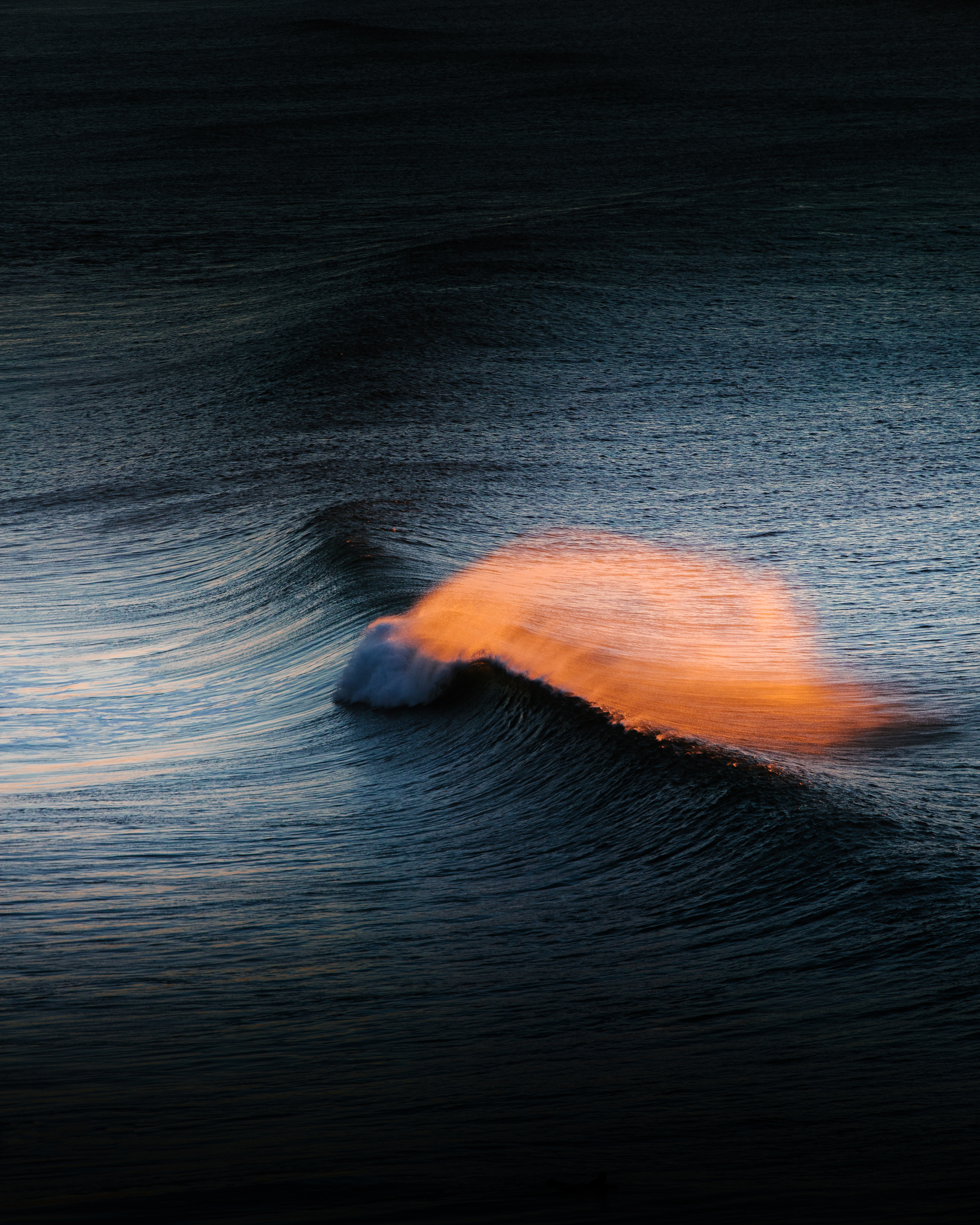 The Wave