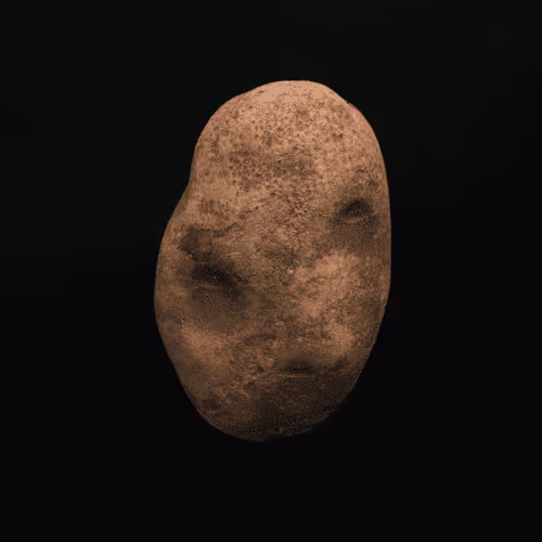 006 Spudshot: Tateminator
