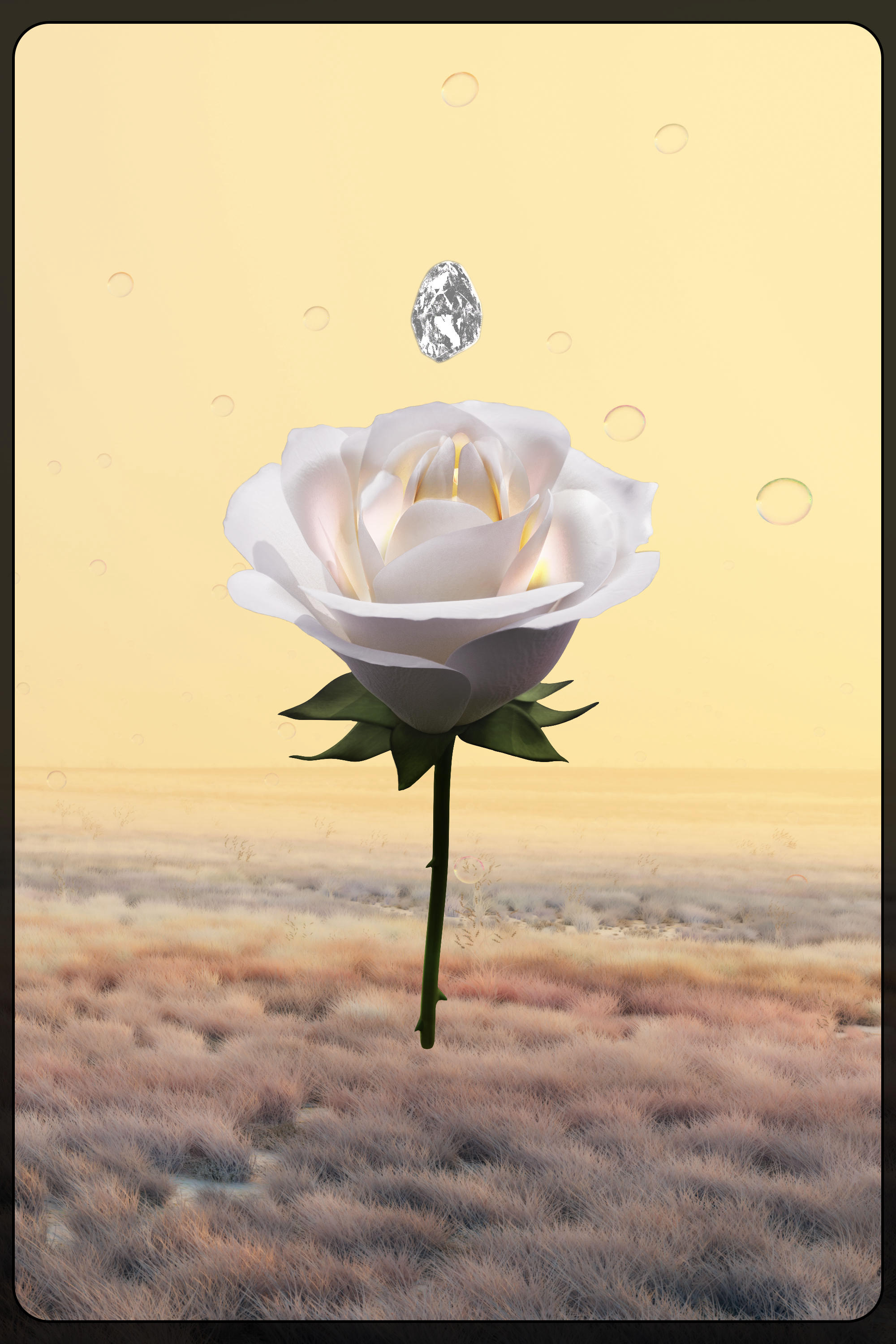 Eternal Rose 1024