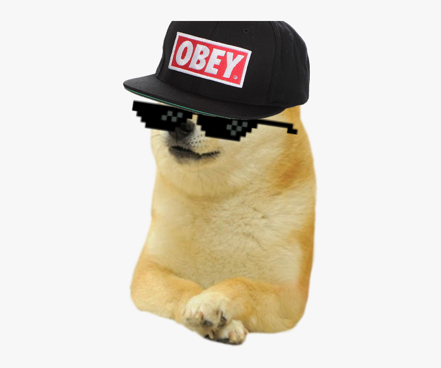 SHIBA