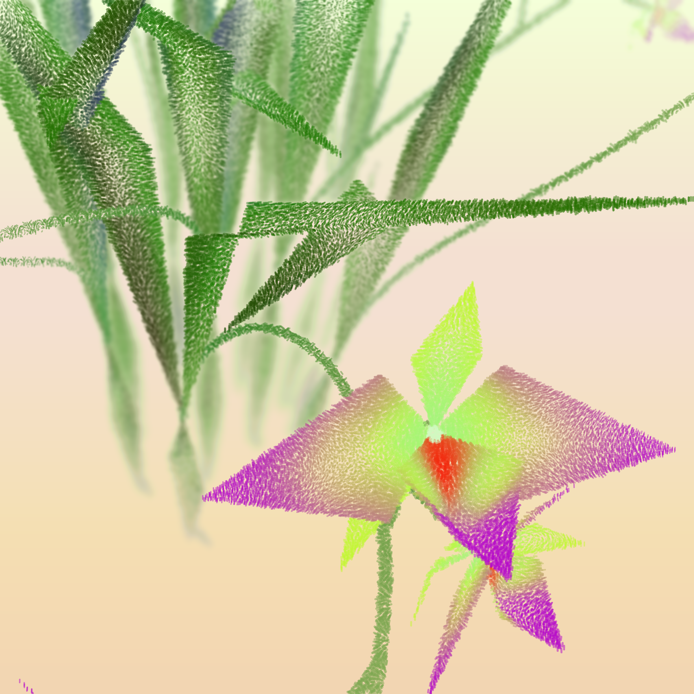 Cattleya #296