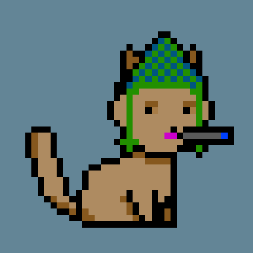 PunkCat #1554