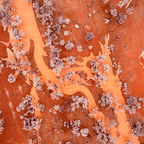 Red, Rivers
