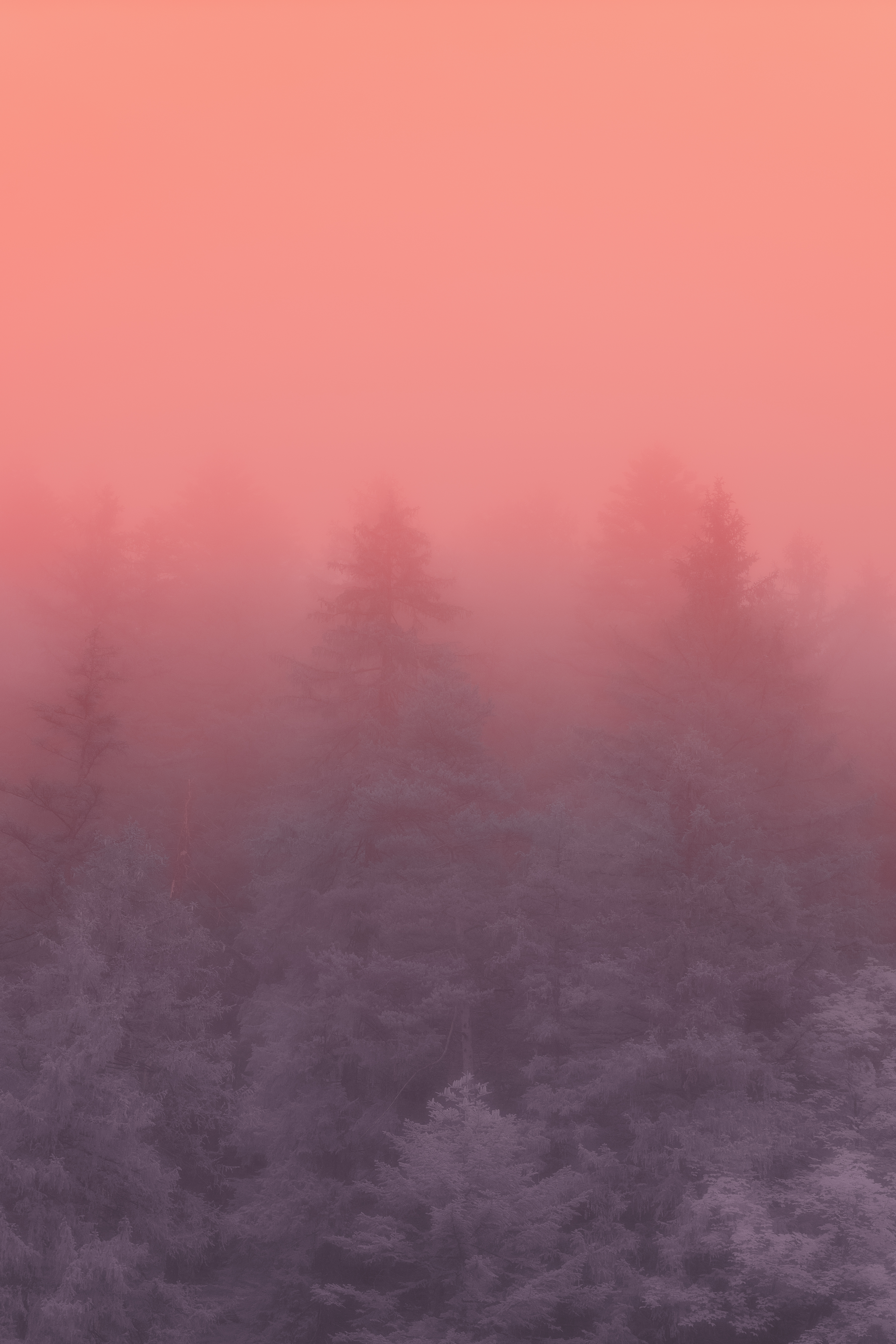 PASTEL