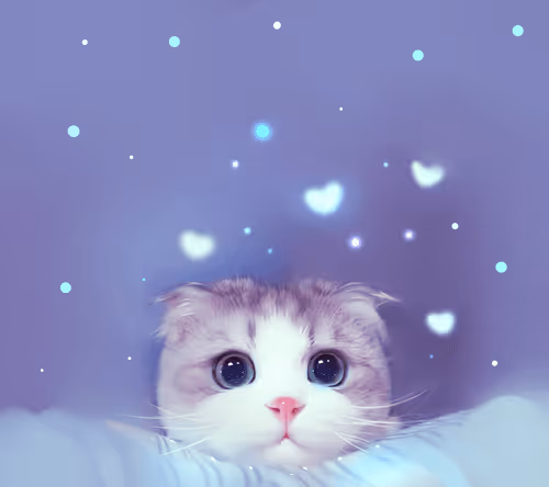Lovely cat