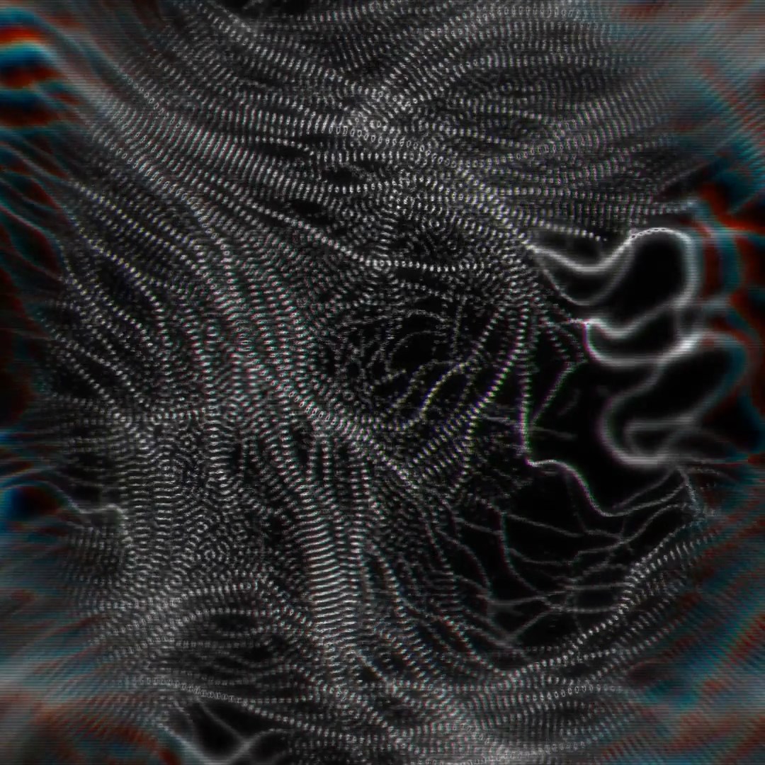 Physarum #2