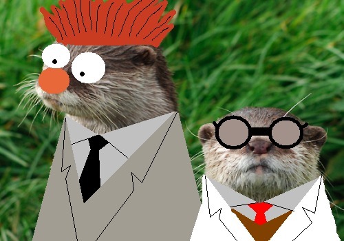 Bunsen & Beaker Otter