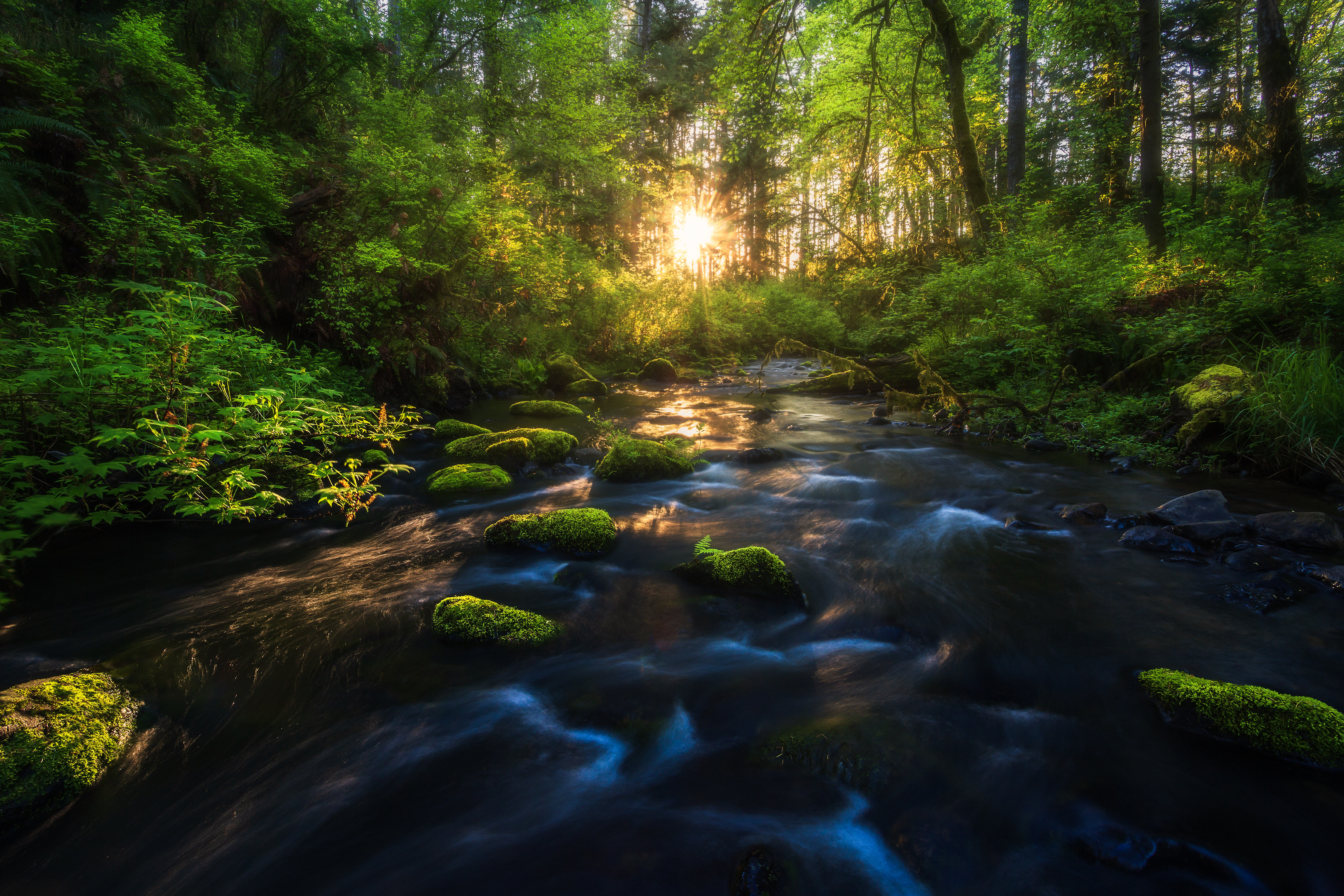 Mossy Haven #12