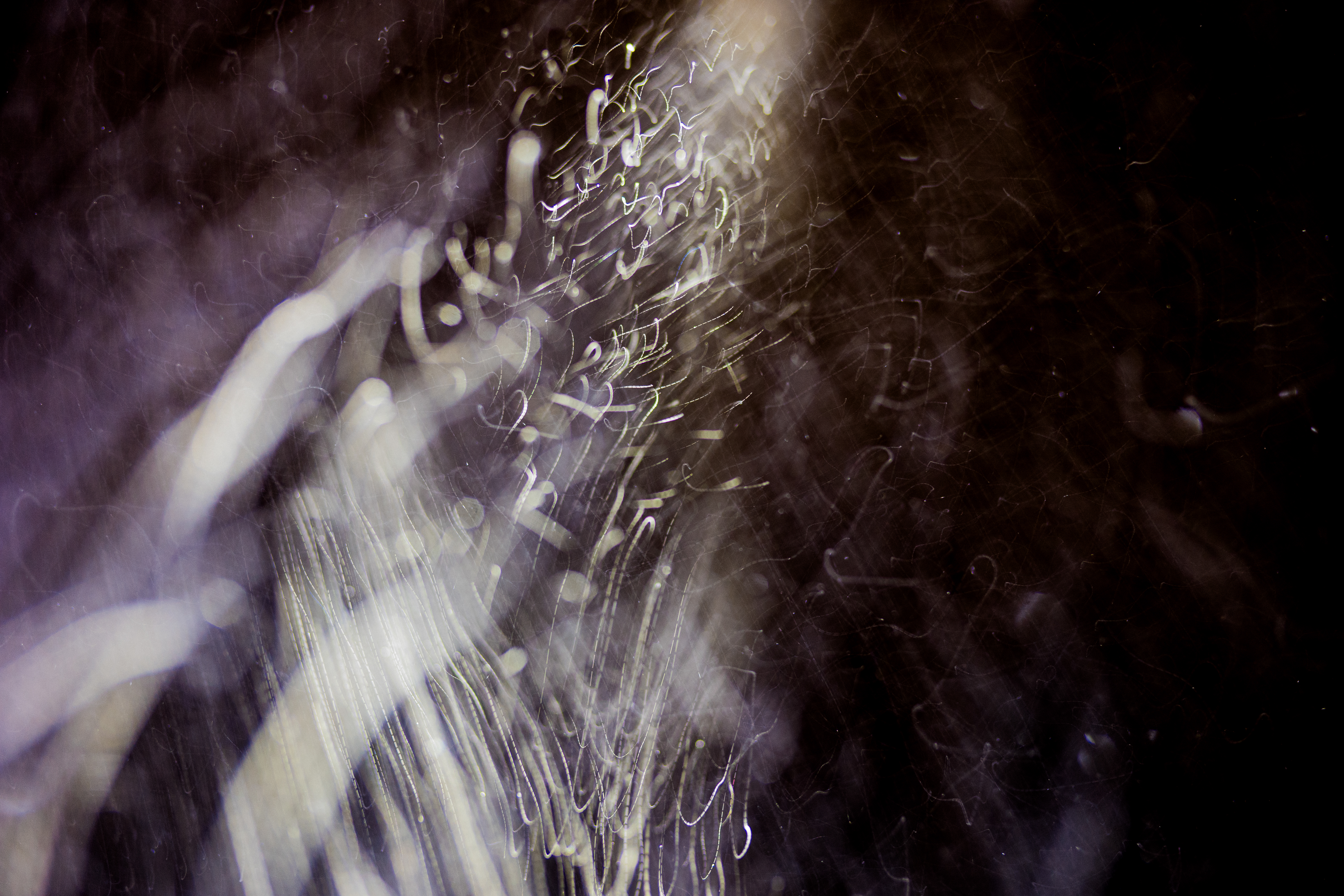 L1210400 : An omen of the skies
