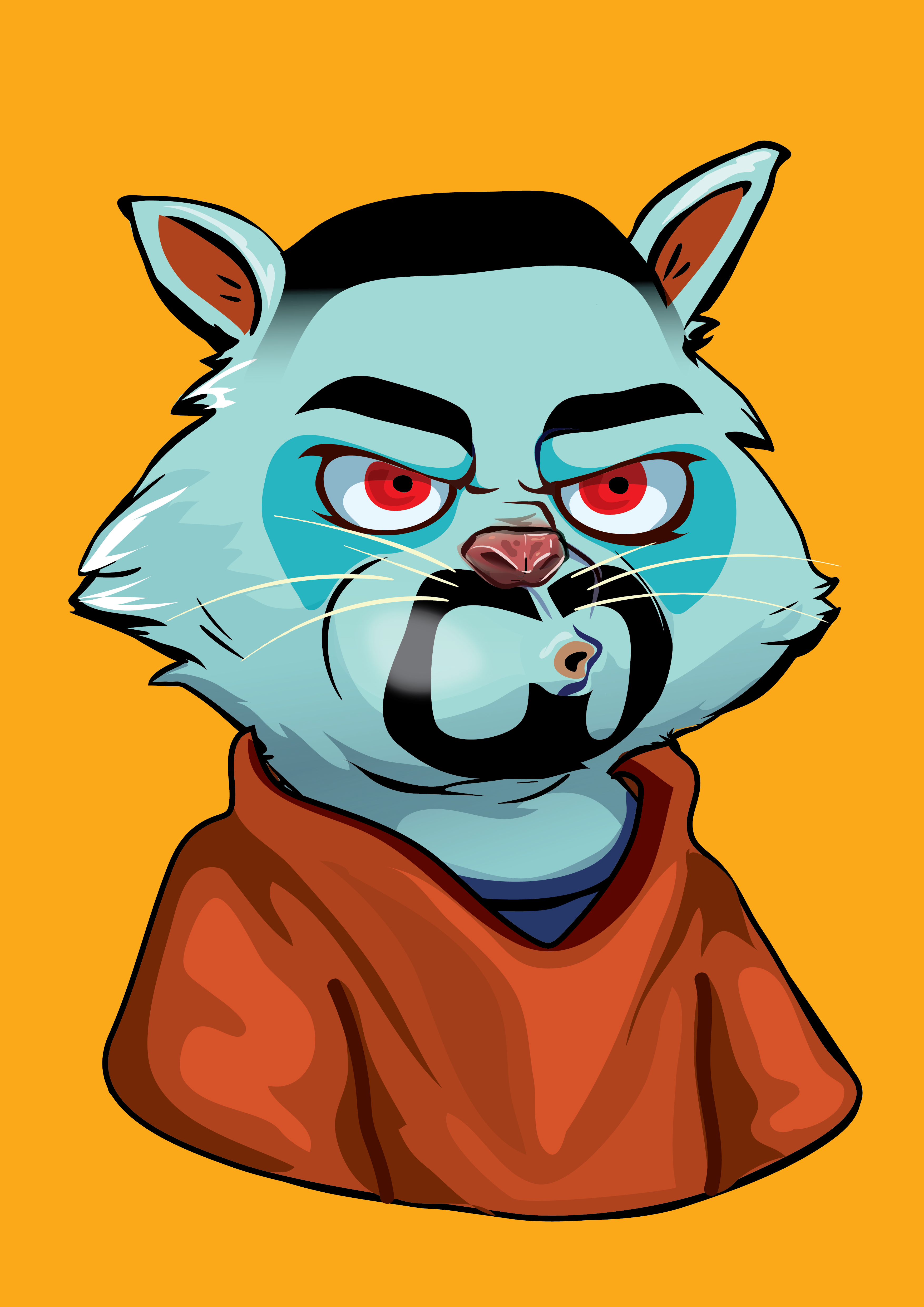 Raccoon-153