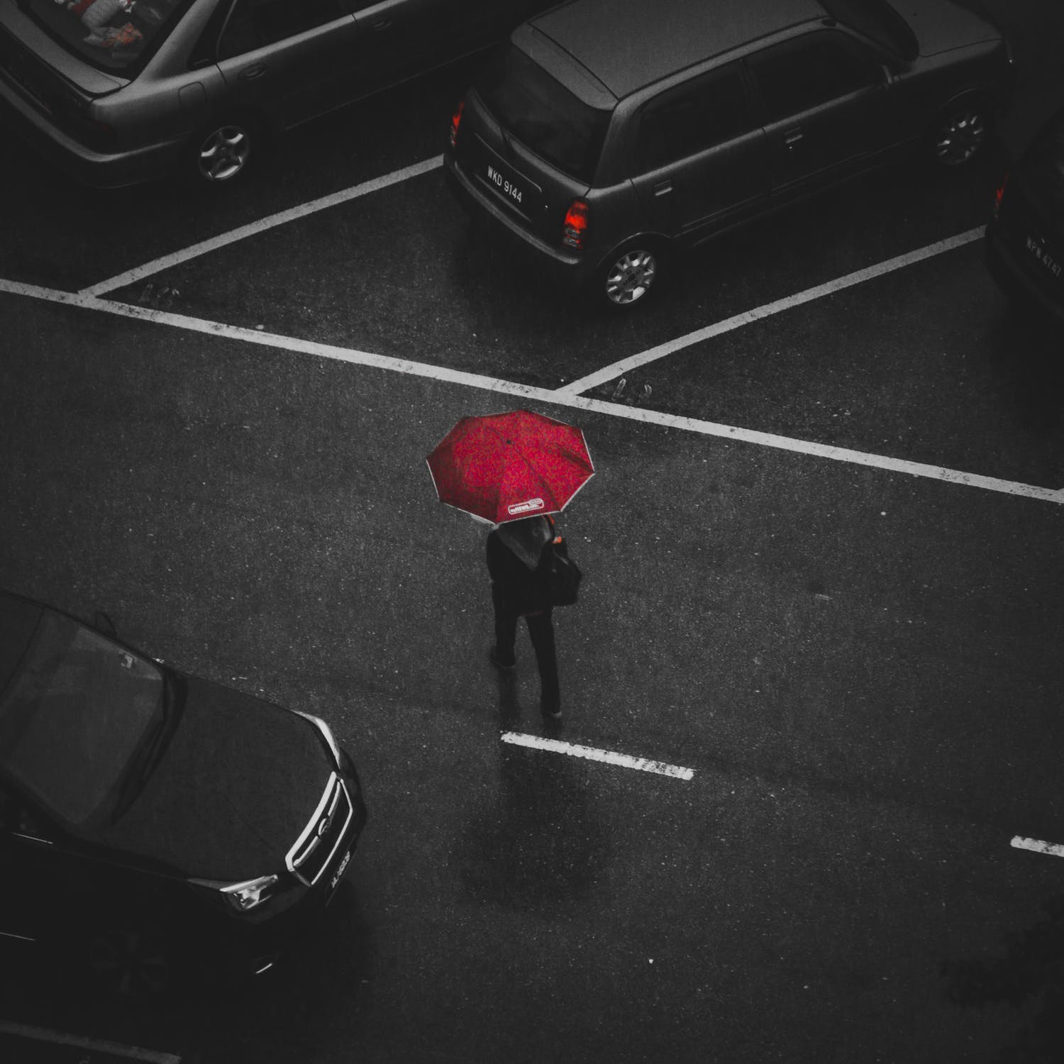 umbrella