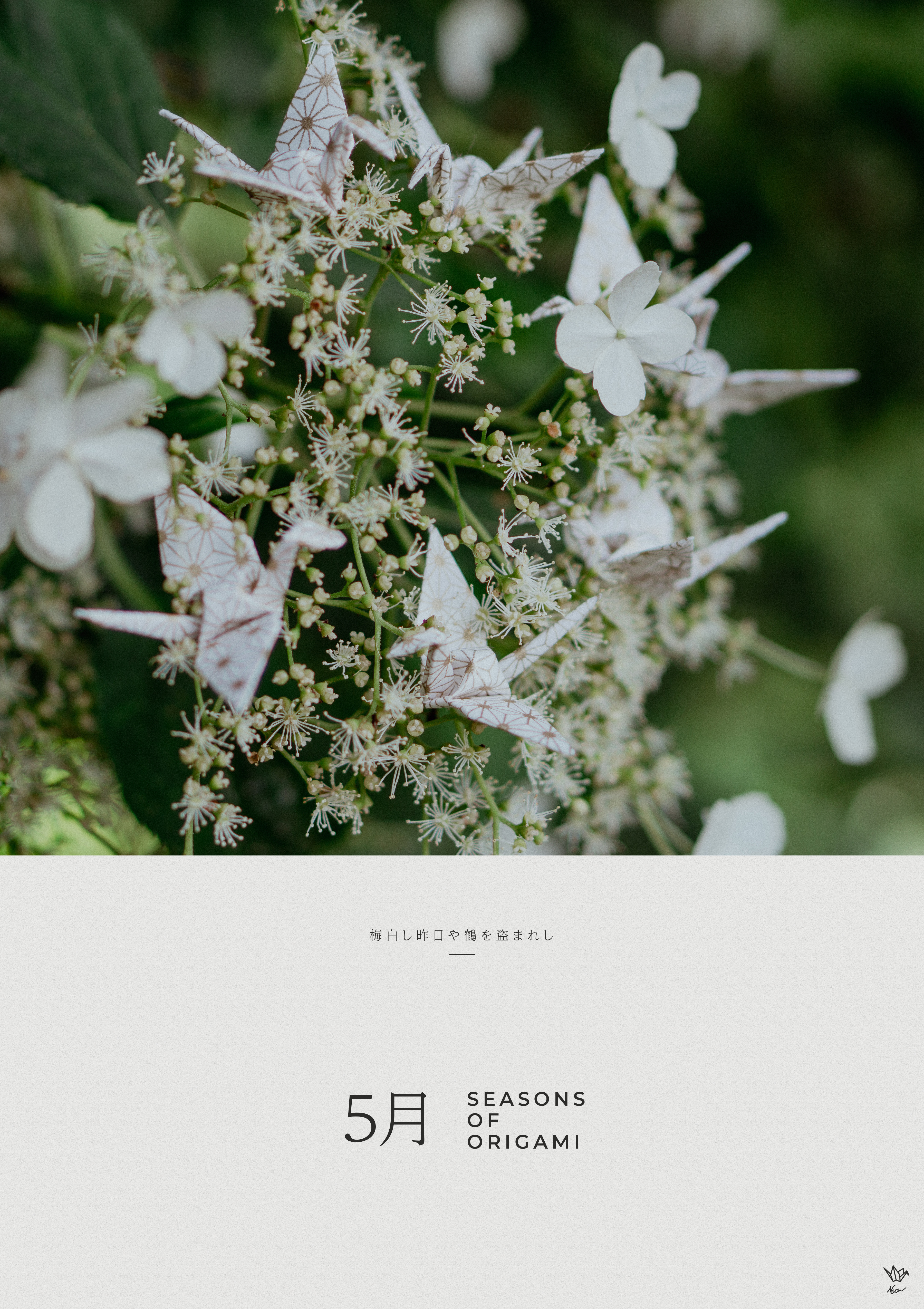 5月 – May