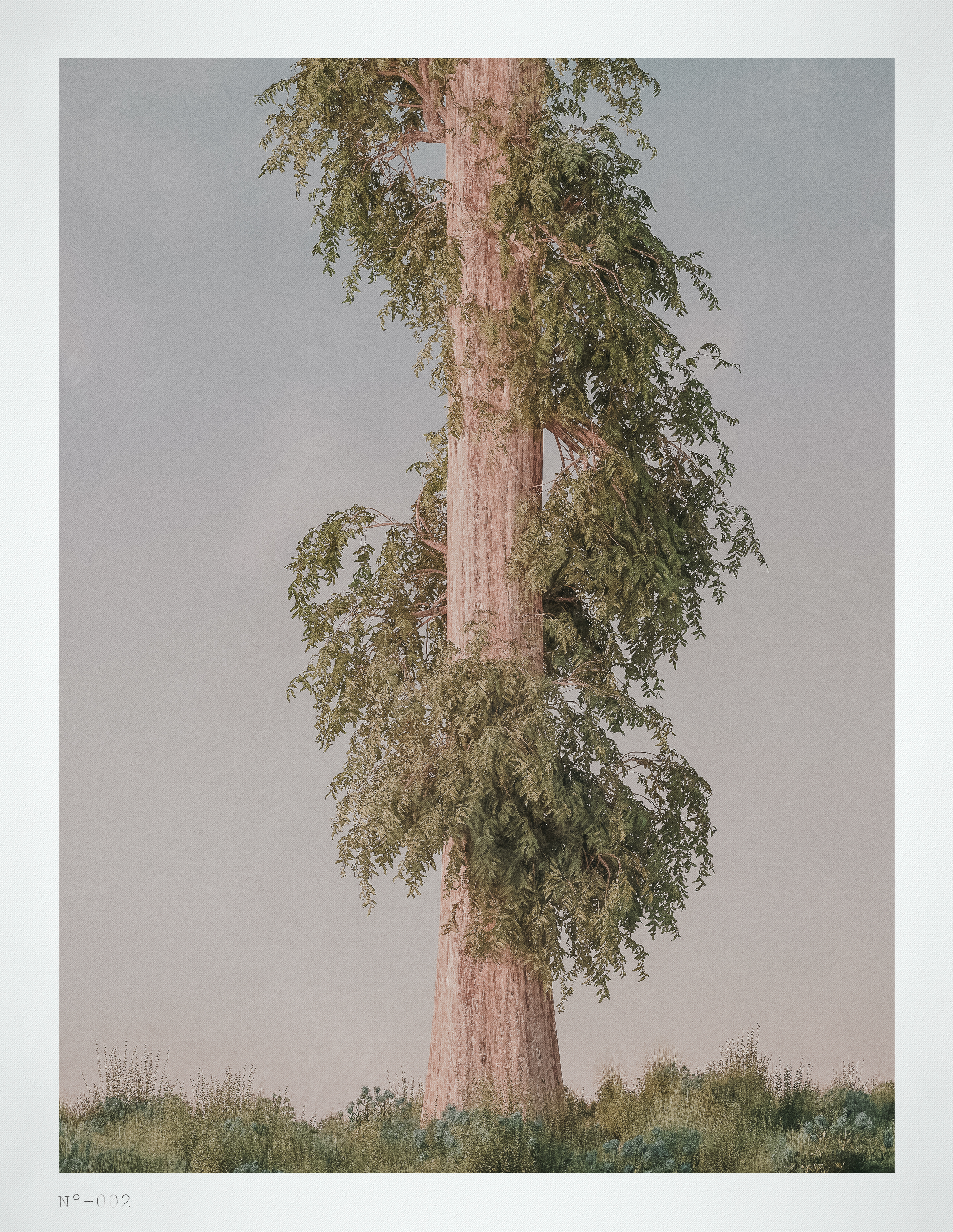 postcards | 002