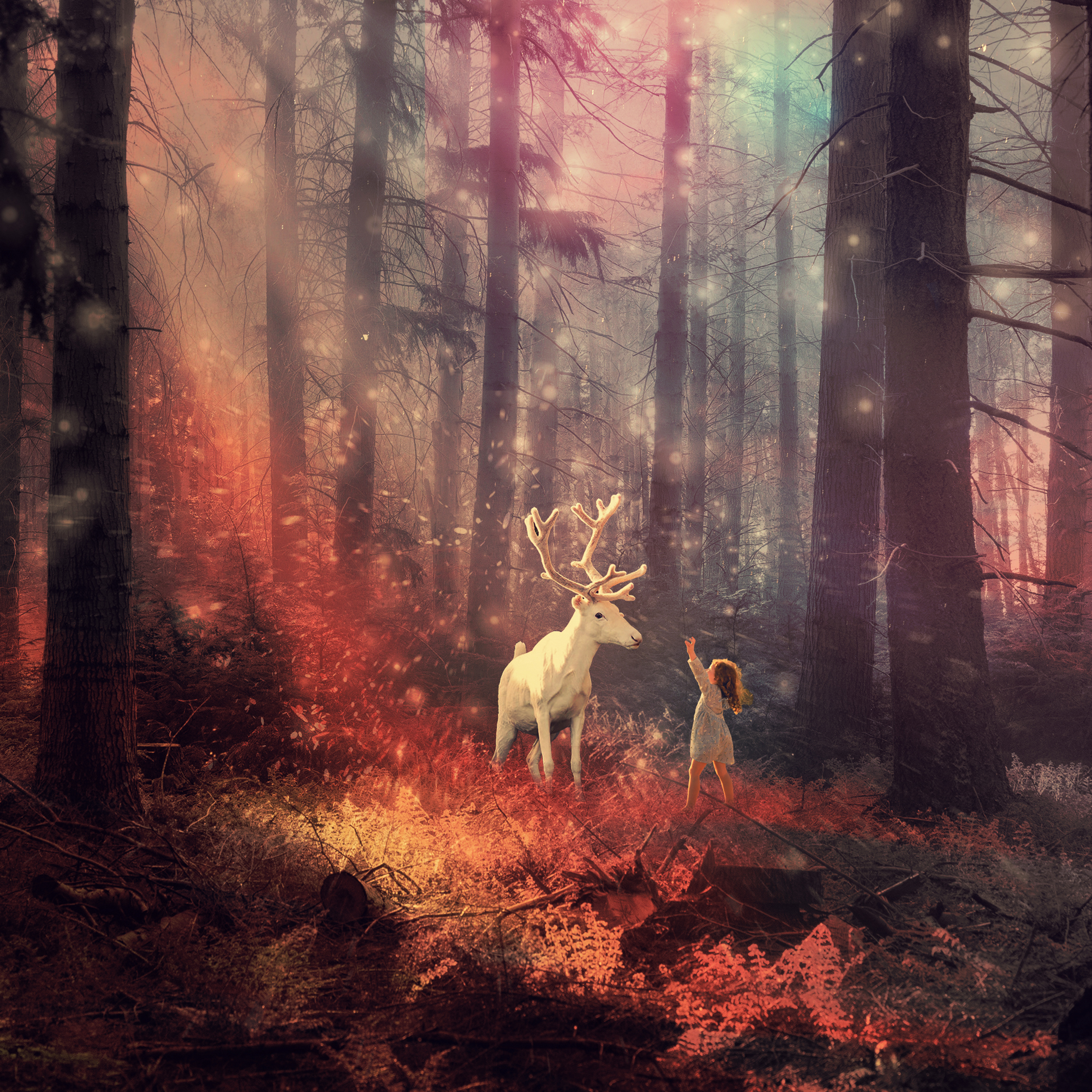 Spirit of Nature