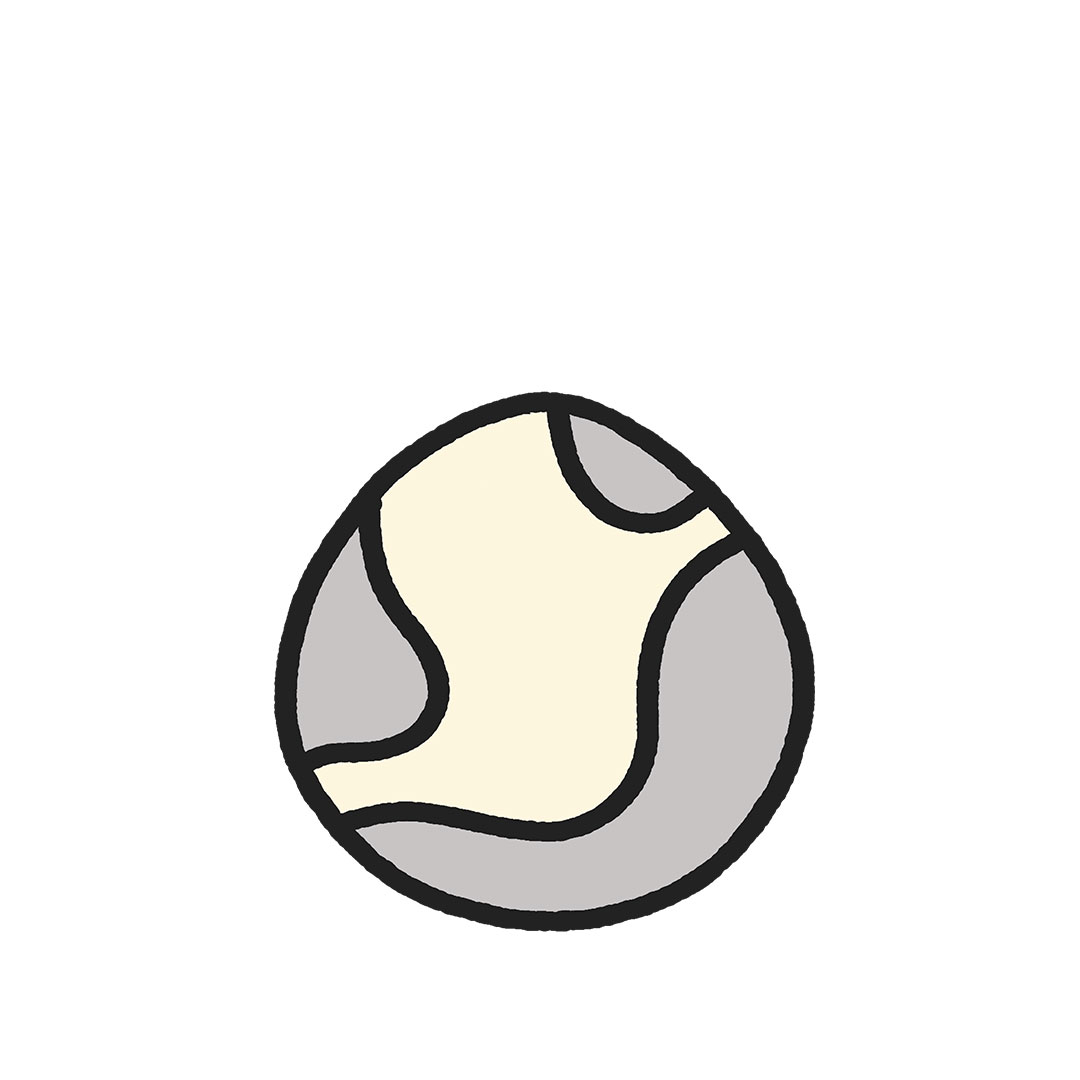 Cool Pet #16812