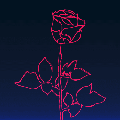 ROSE 44