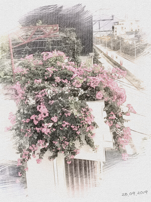 FLower