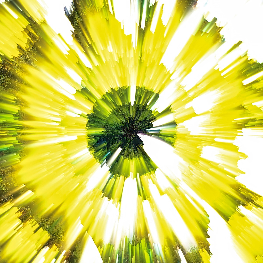 Mandala #01