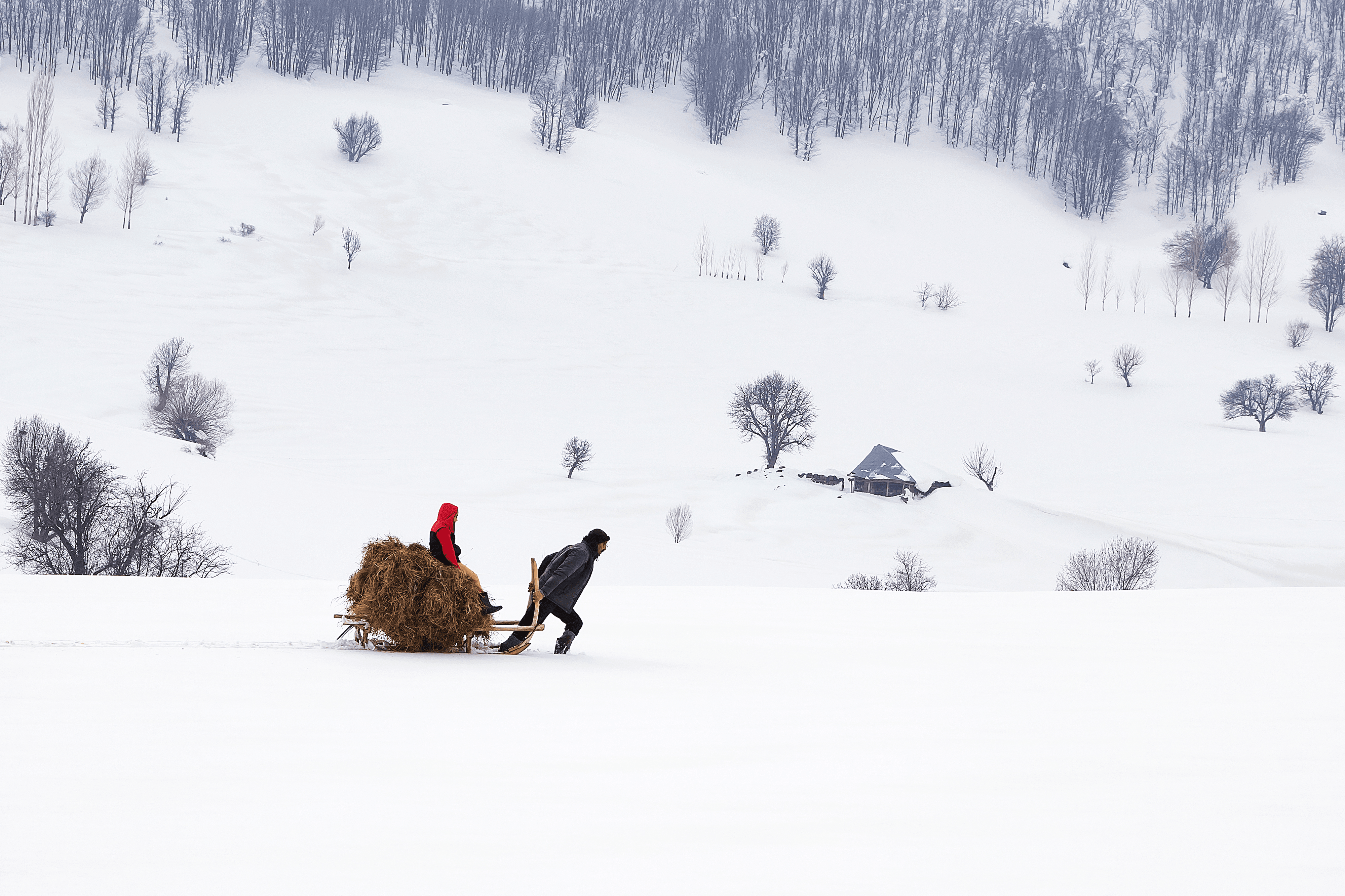 Winter Tales