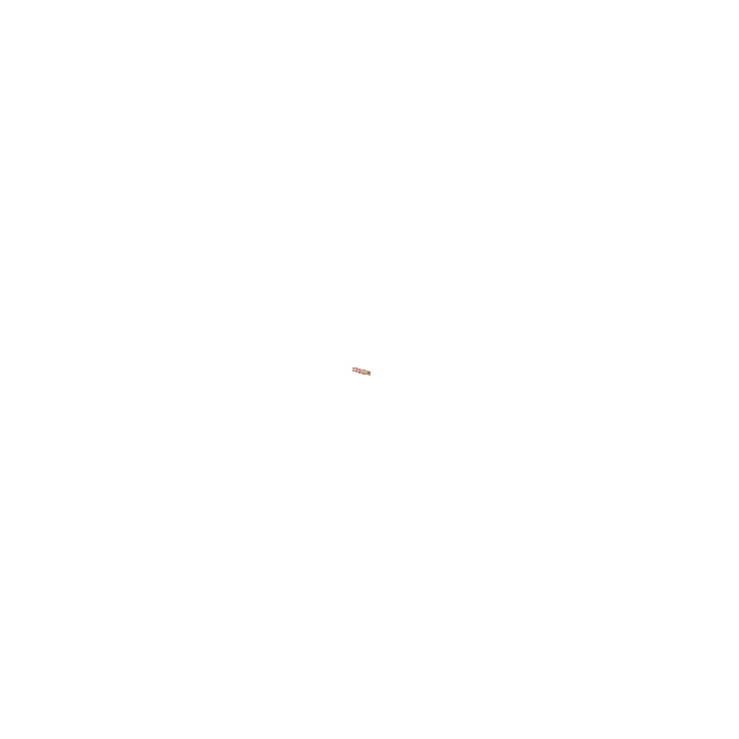 Anonymous Nobody's Smol Dick