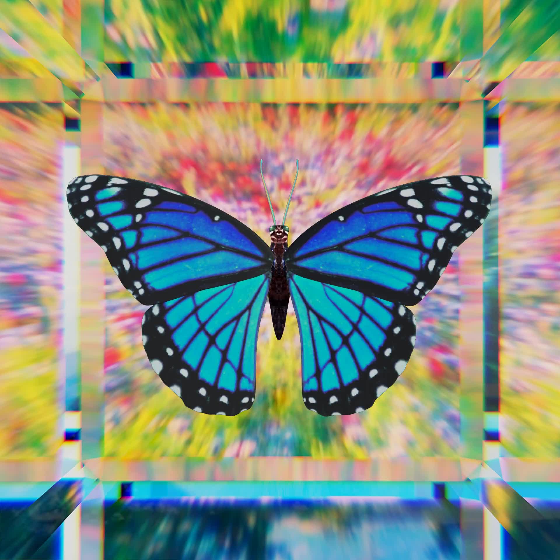 Glass House #944