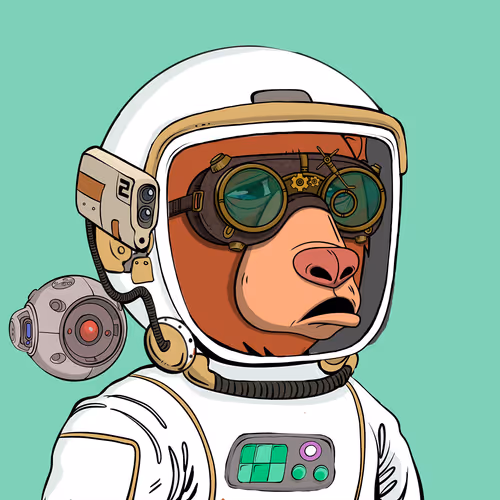 Okay Space Bear #5224
