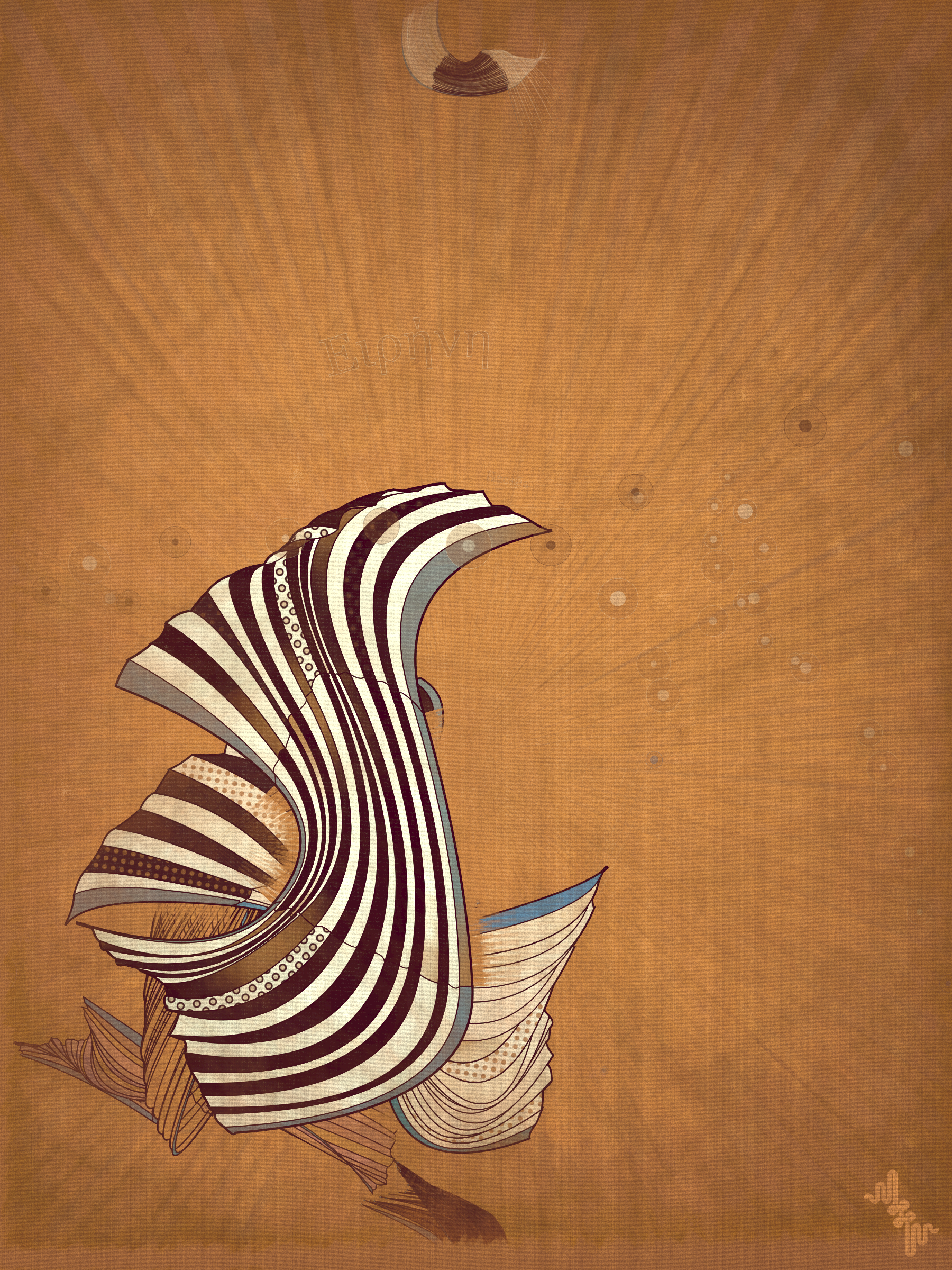 Velum #61