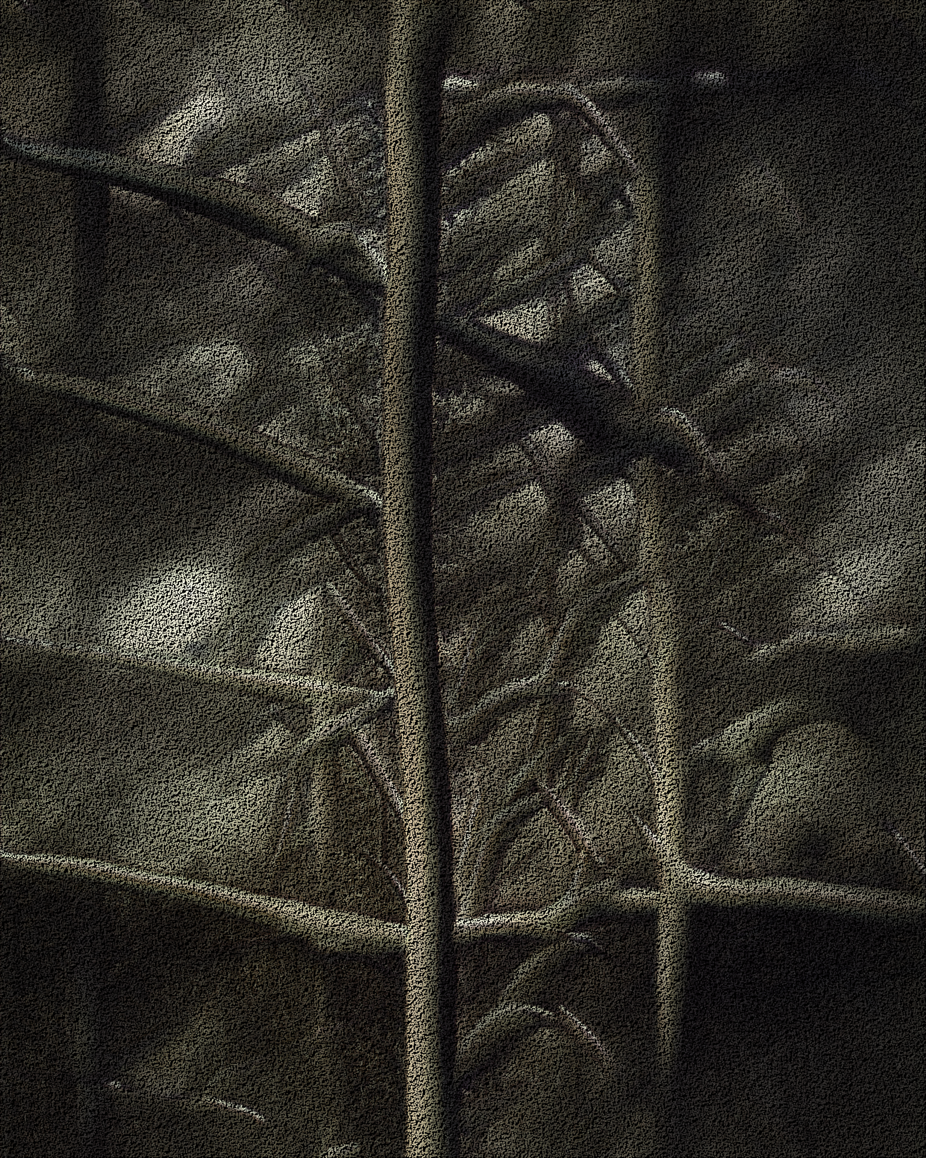 Nondescriptives | #43