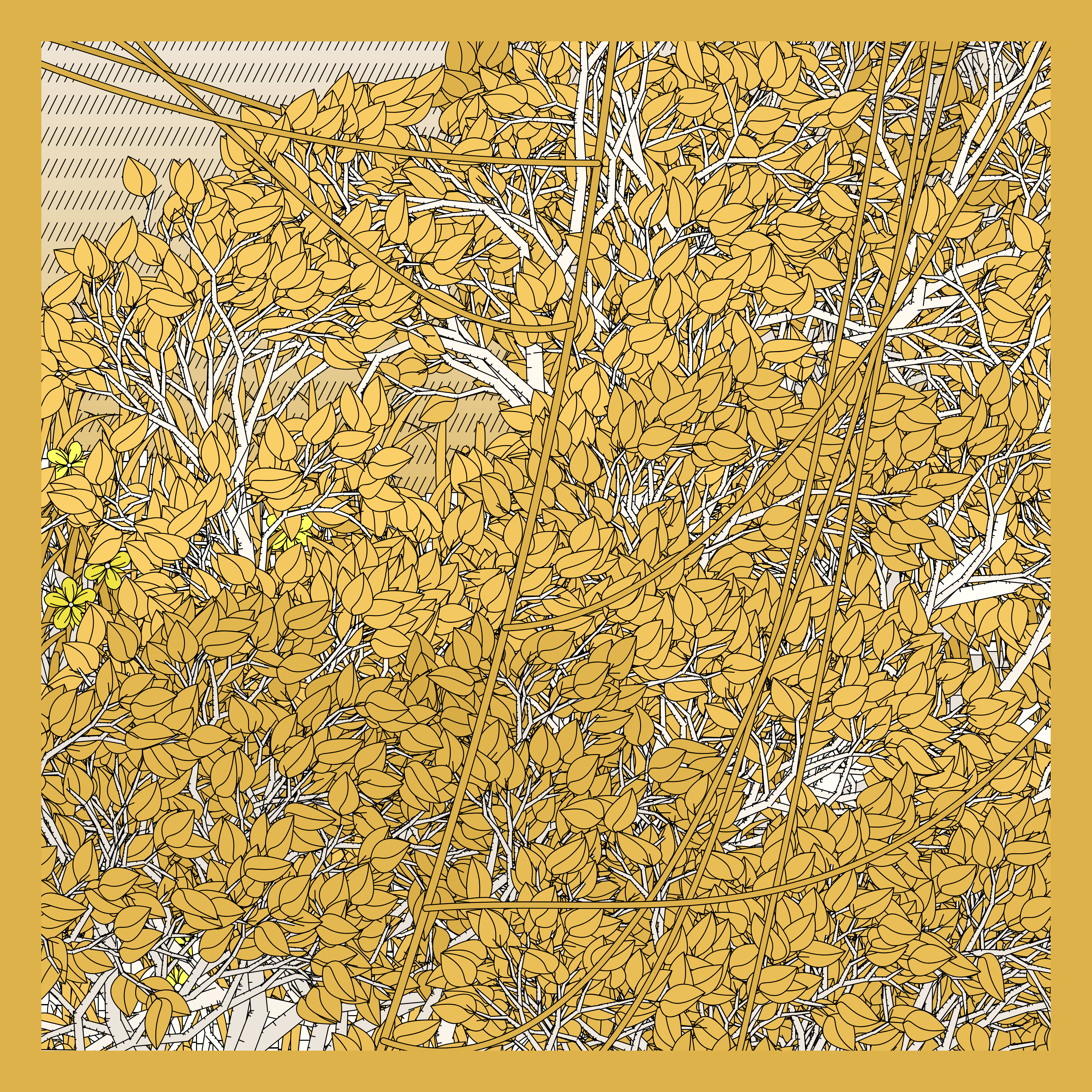 Entangled #493