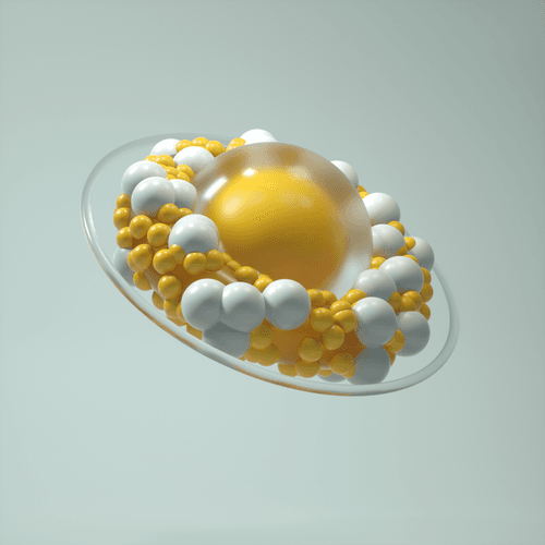 Shapes & Wraps - 02
