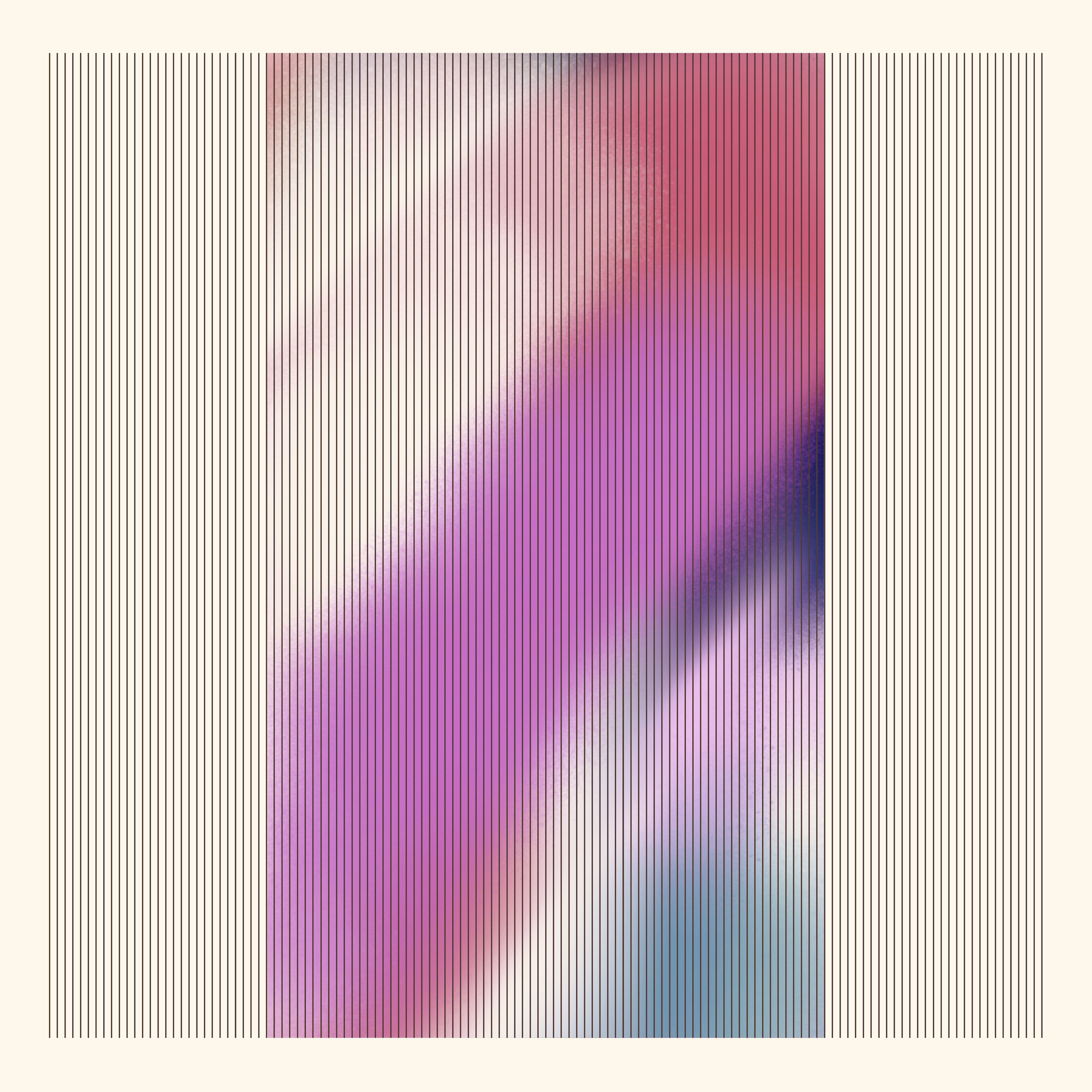 DS 016 (Manifold)