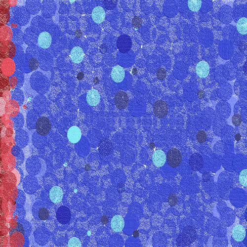 Colors + Wild Card Bonus