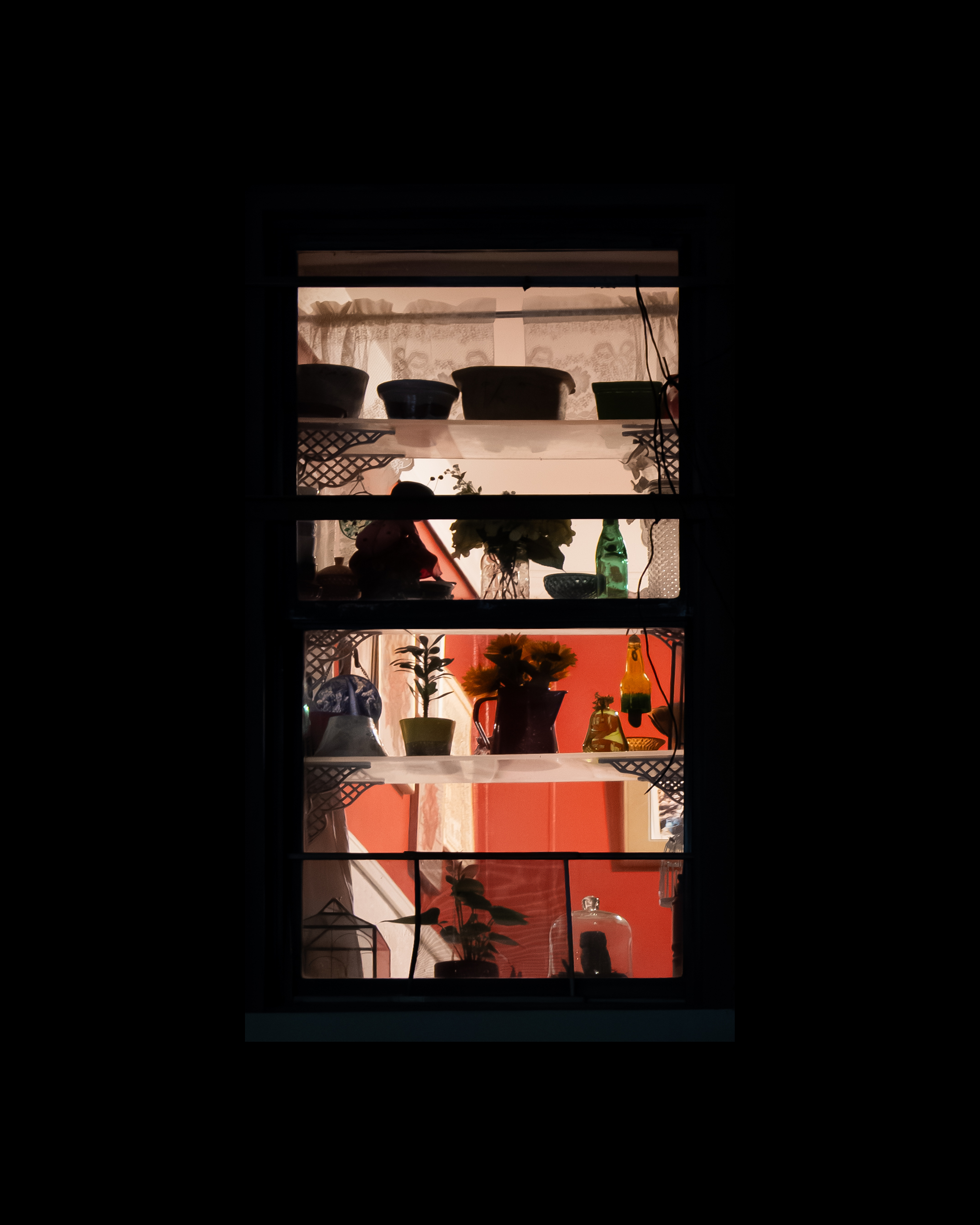 WINDOW 204