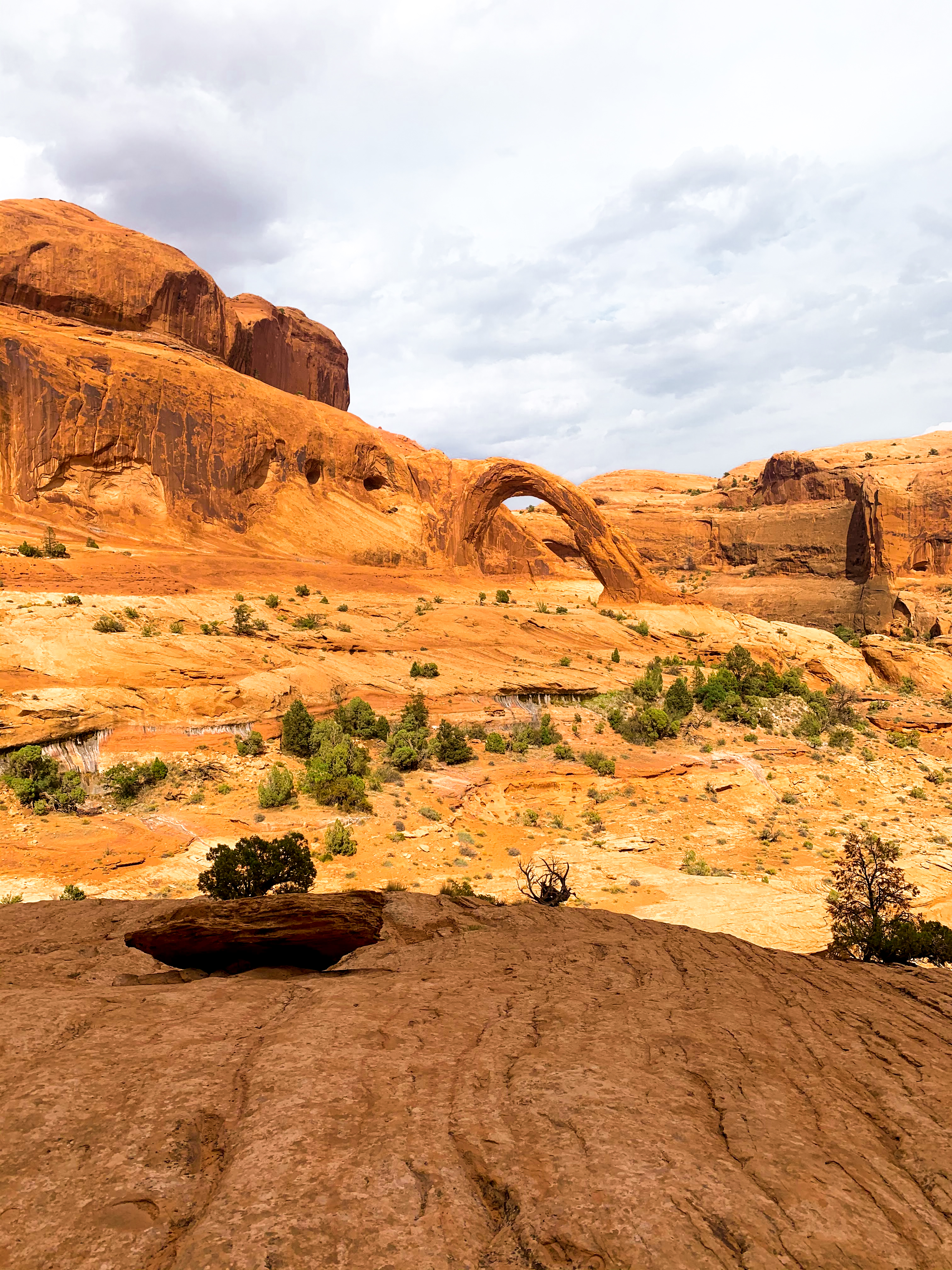 Arches Are Awesome