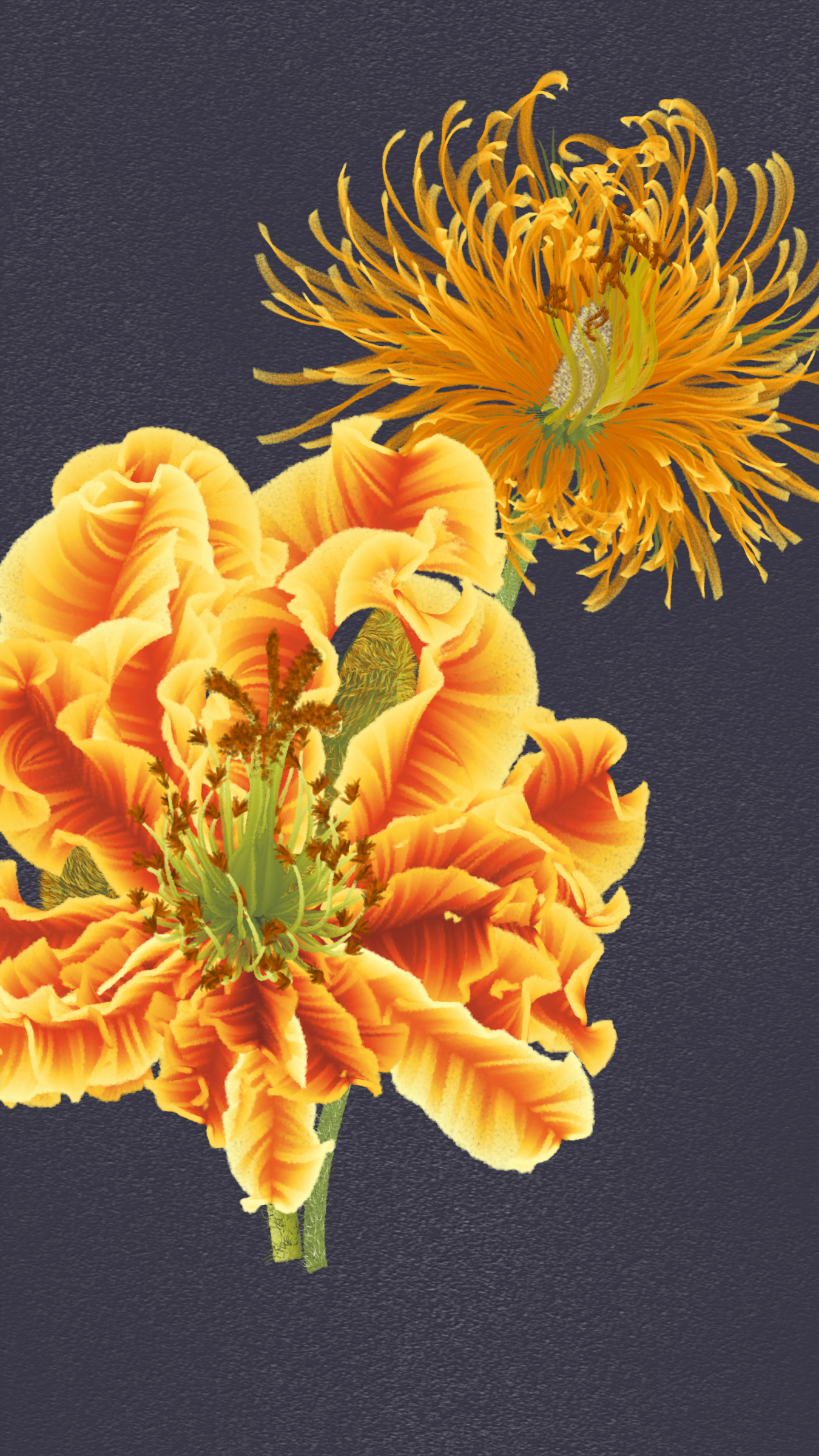Delirium Blooms #11