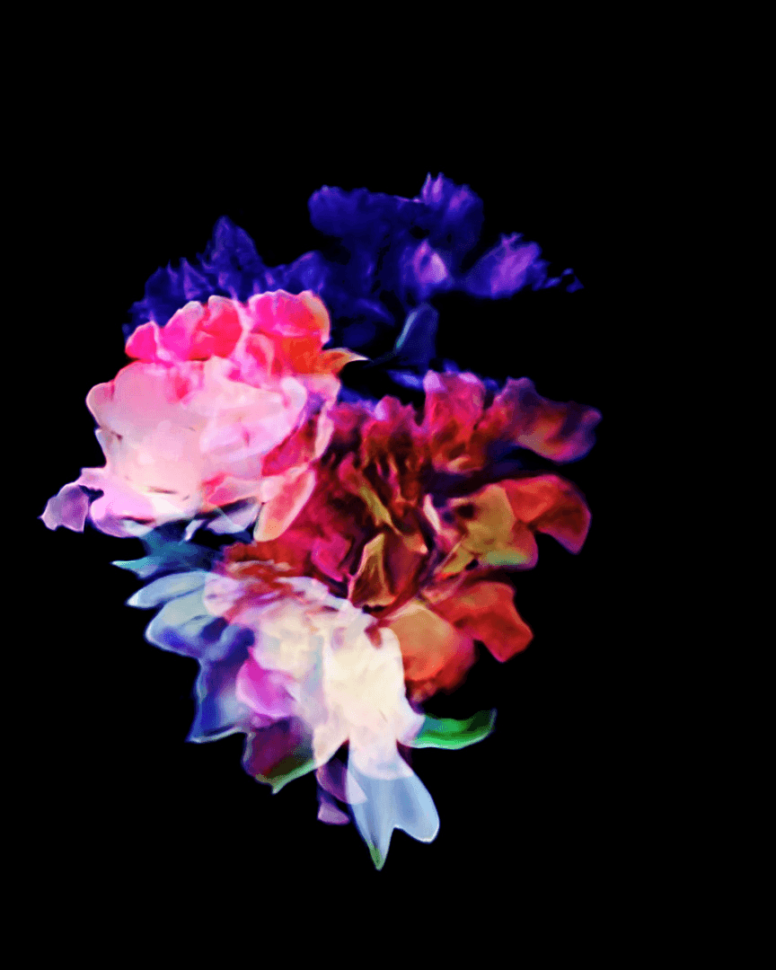 Bloom 01