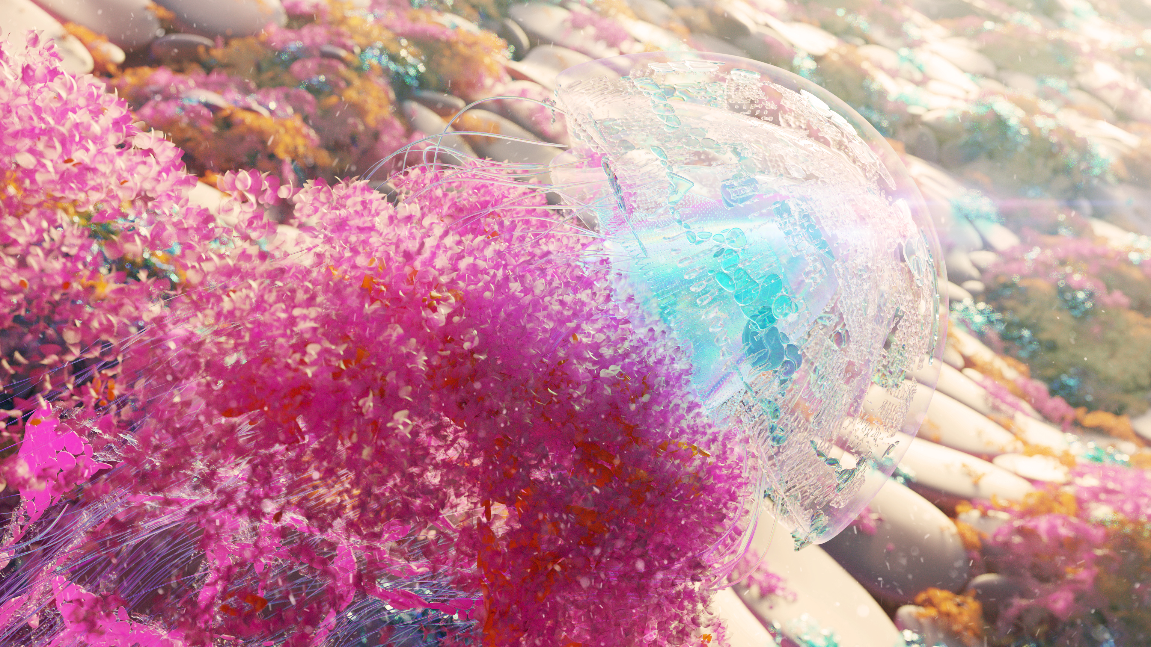 Jellyfish