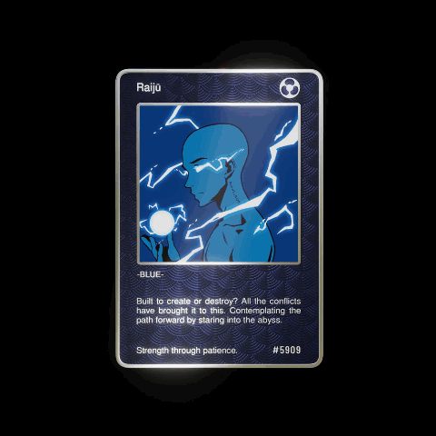 RaijE+ Card 7/256