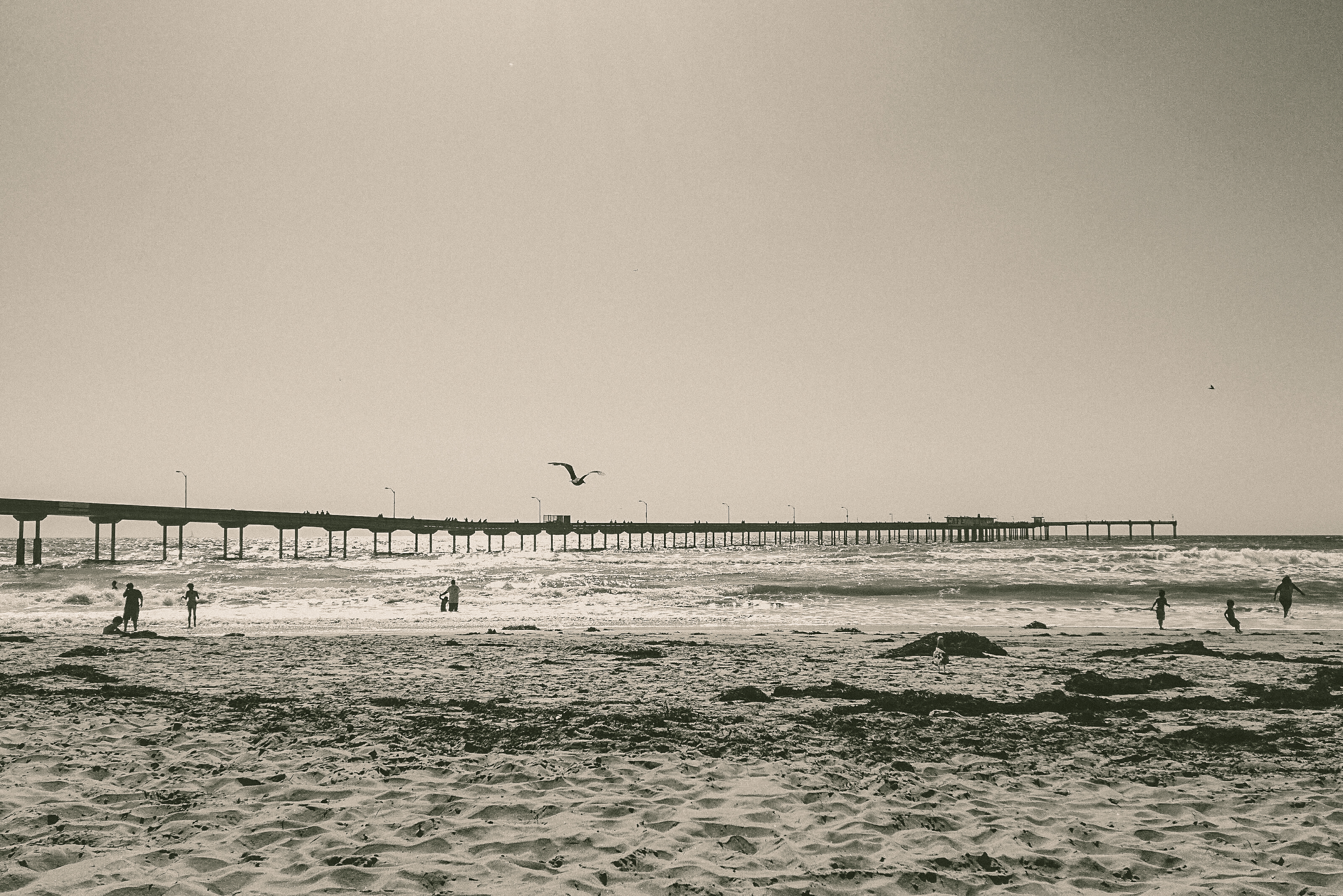 Pier Into the Past