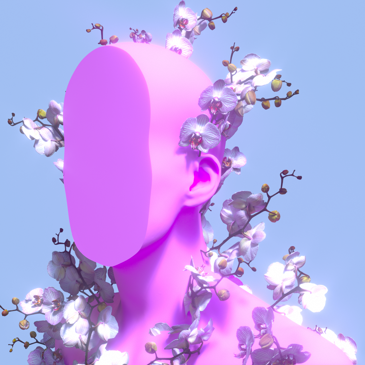 Surface 012