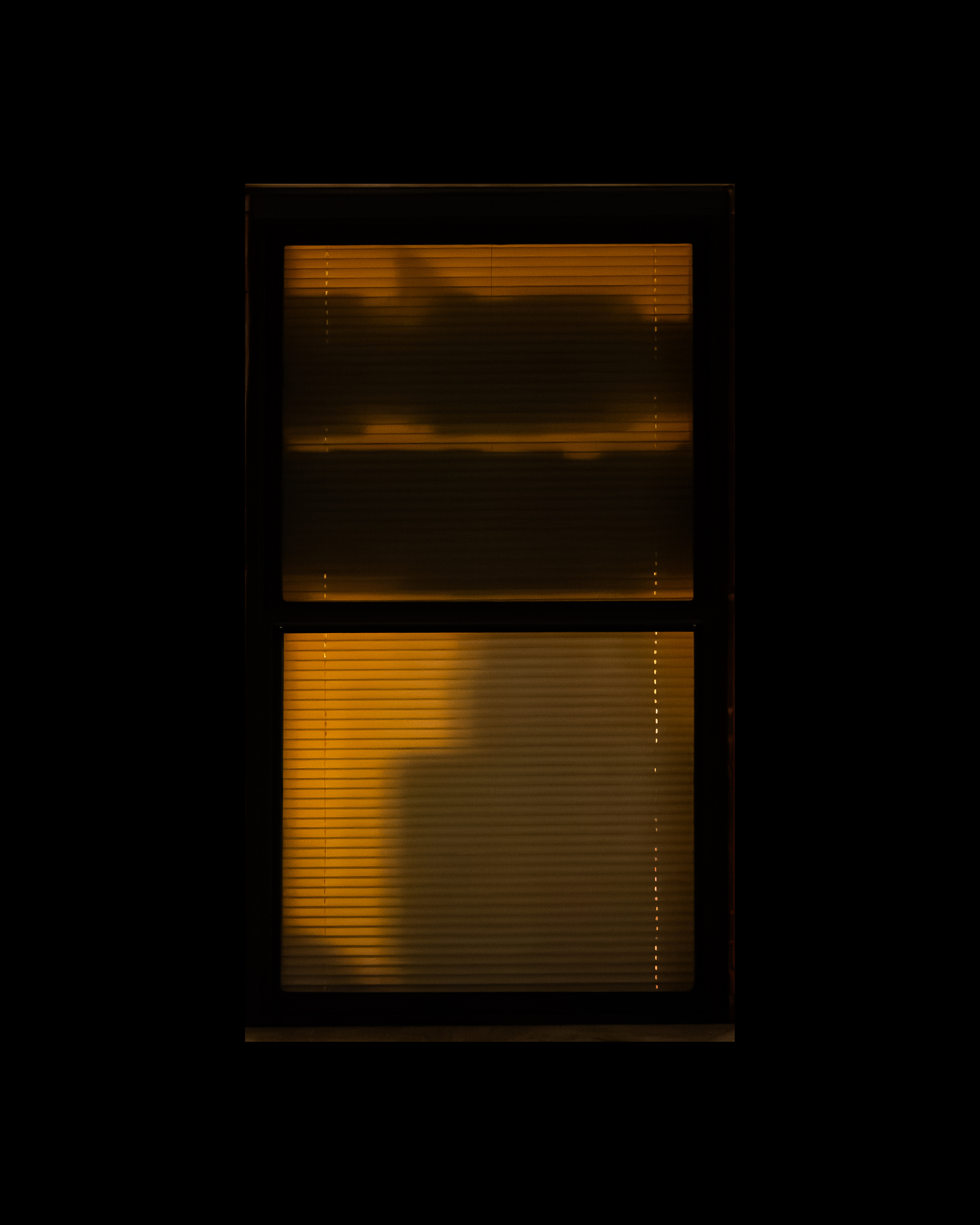 WINDOW 19