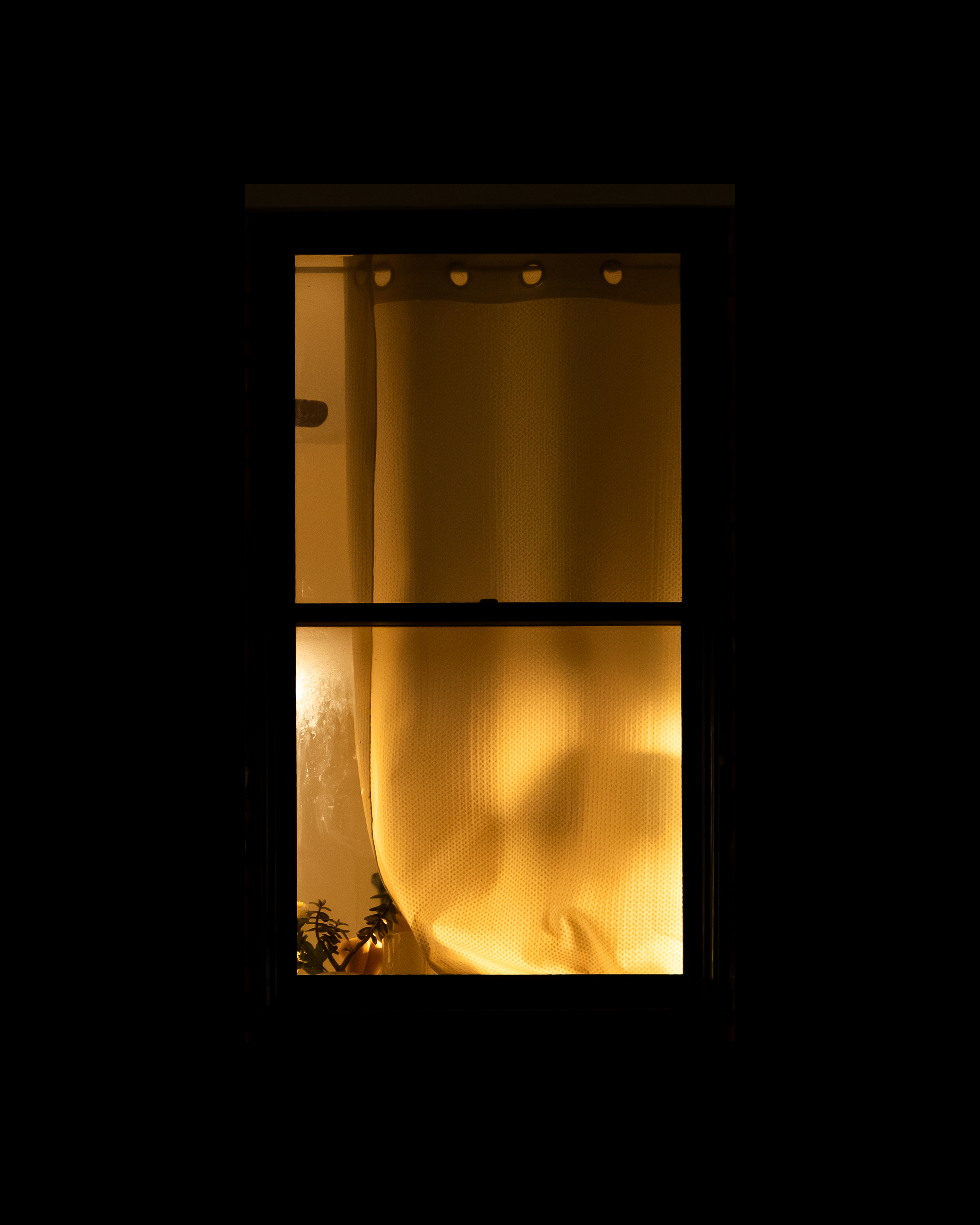 WINDOW 711